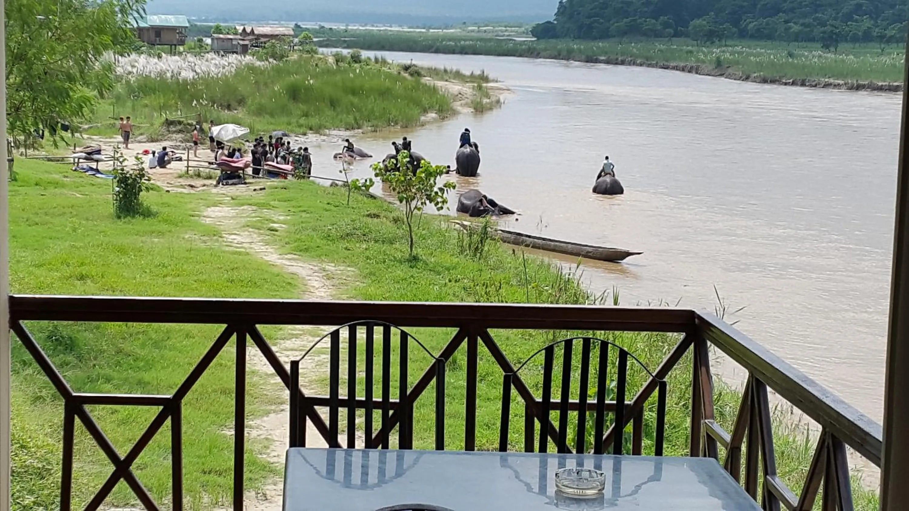 Jungle Wildlife Camp