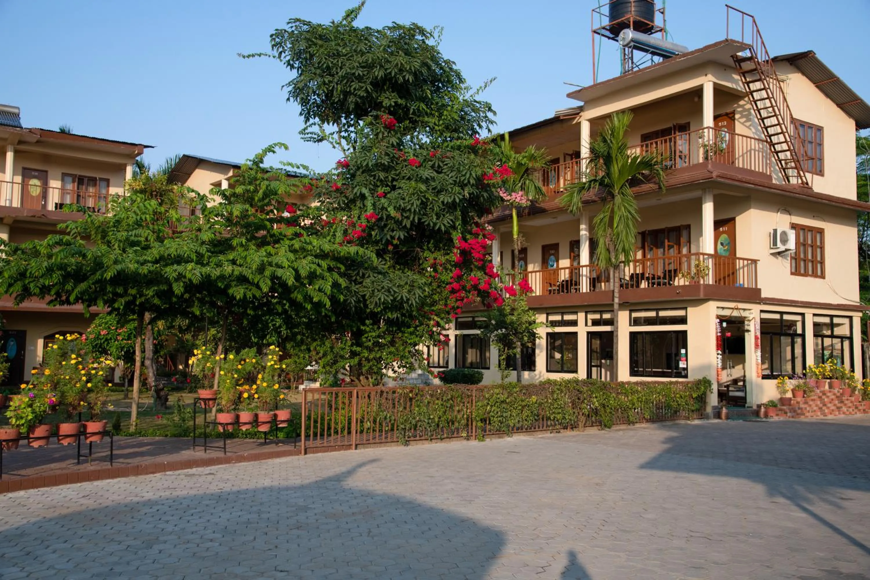 Jungle Wildlife Camp