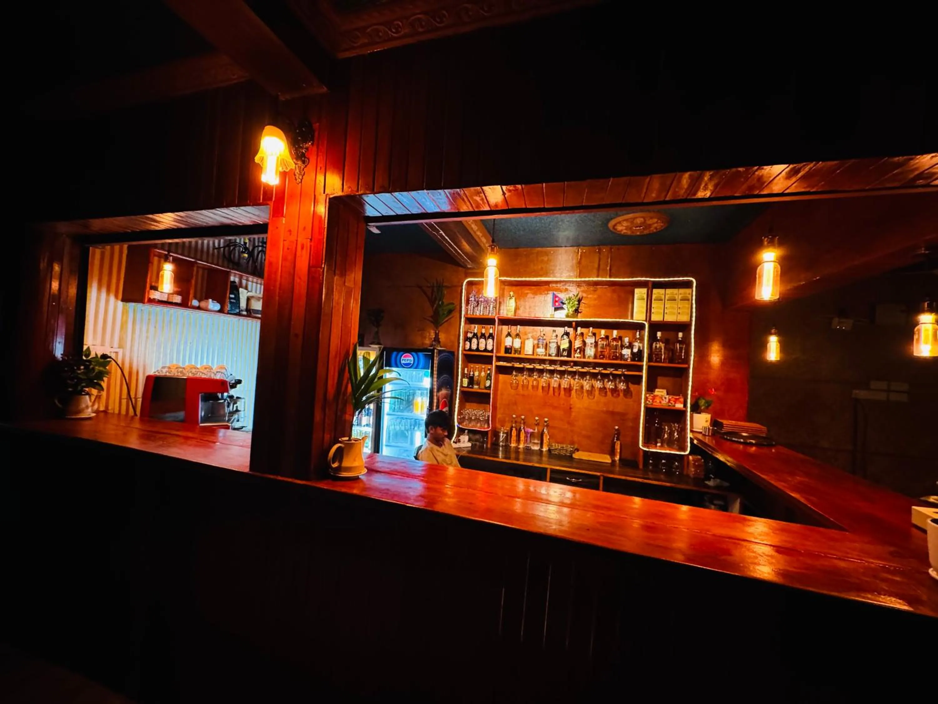 Jungle Wildlife Camp