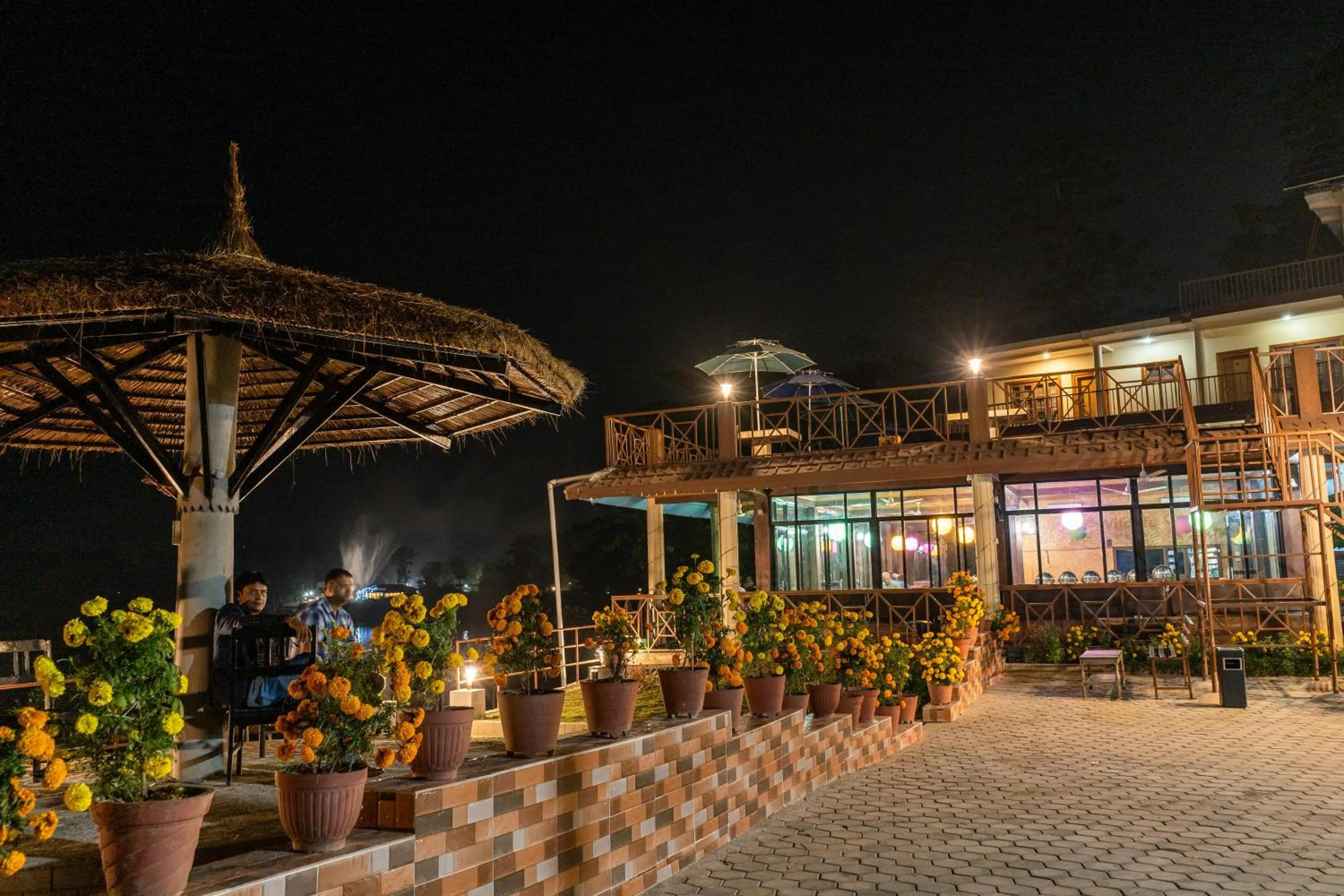 Jungle Wildlife Camp