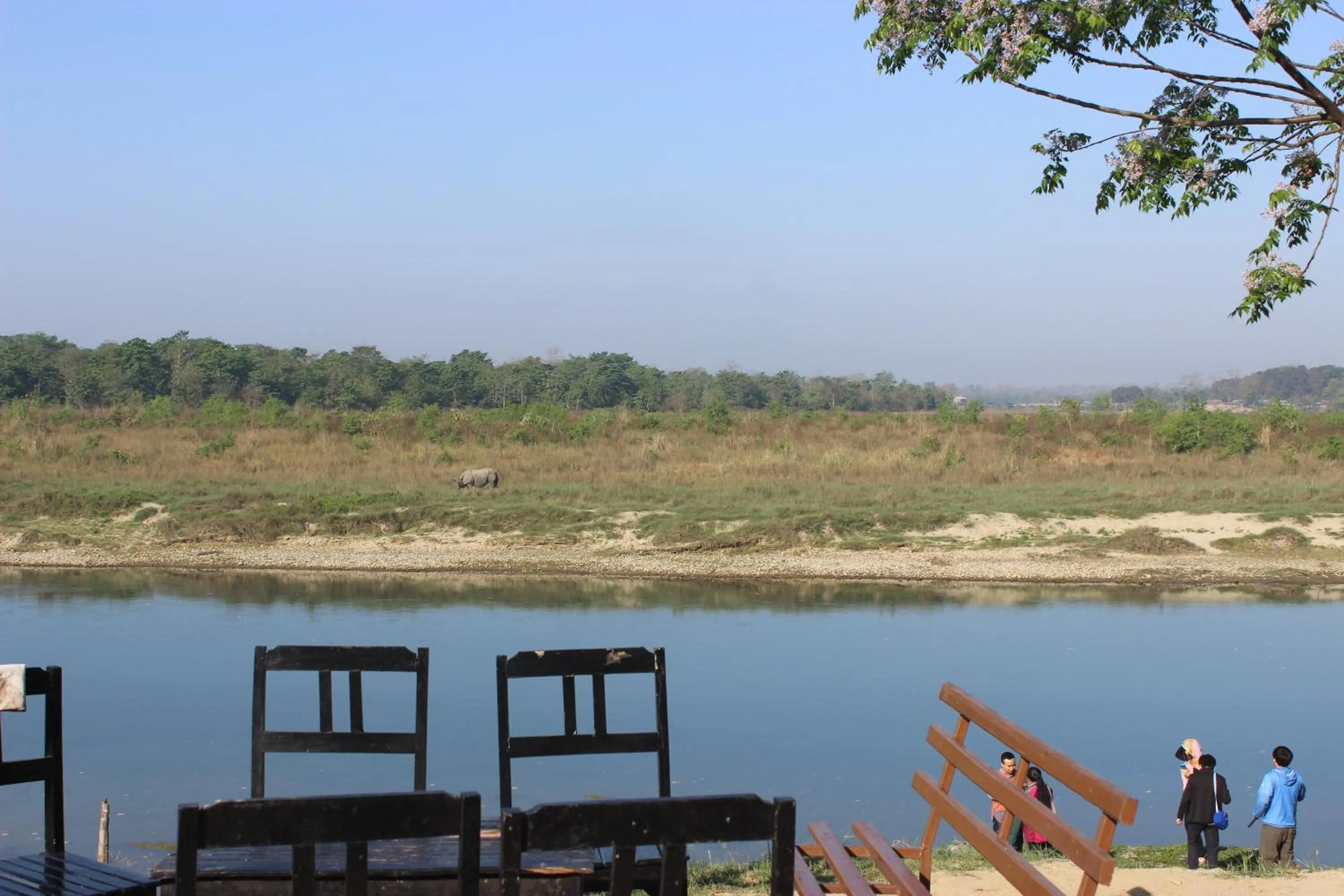 Jungle Wildlife Camp