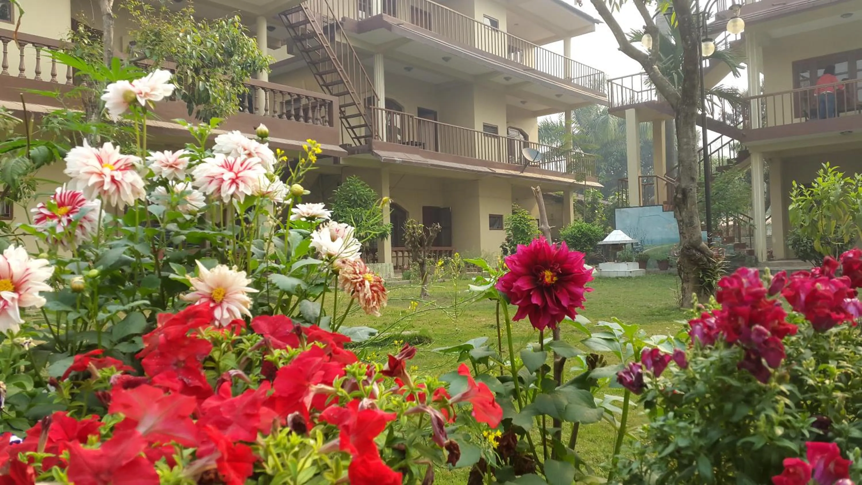 Jungle Wildlife Camp