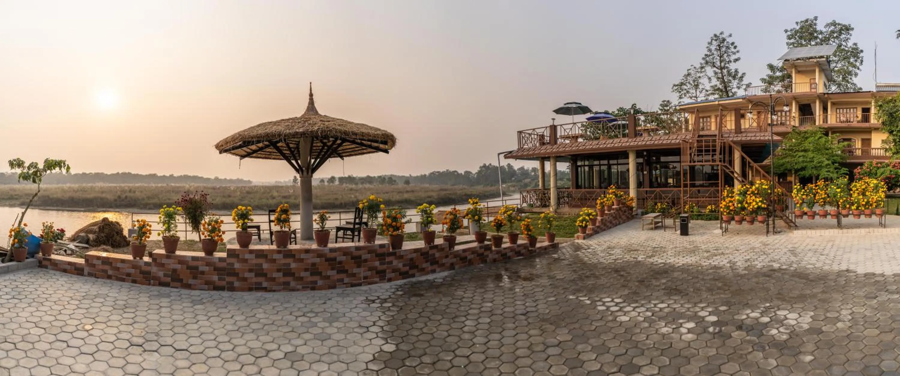 Jungle Wildlife Camp