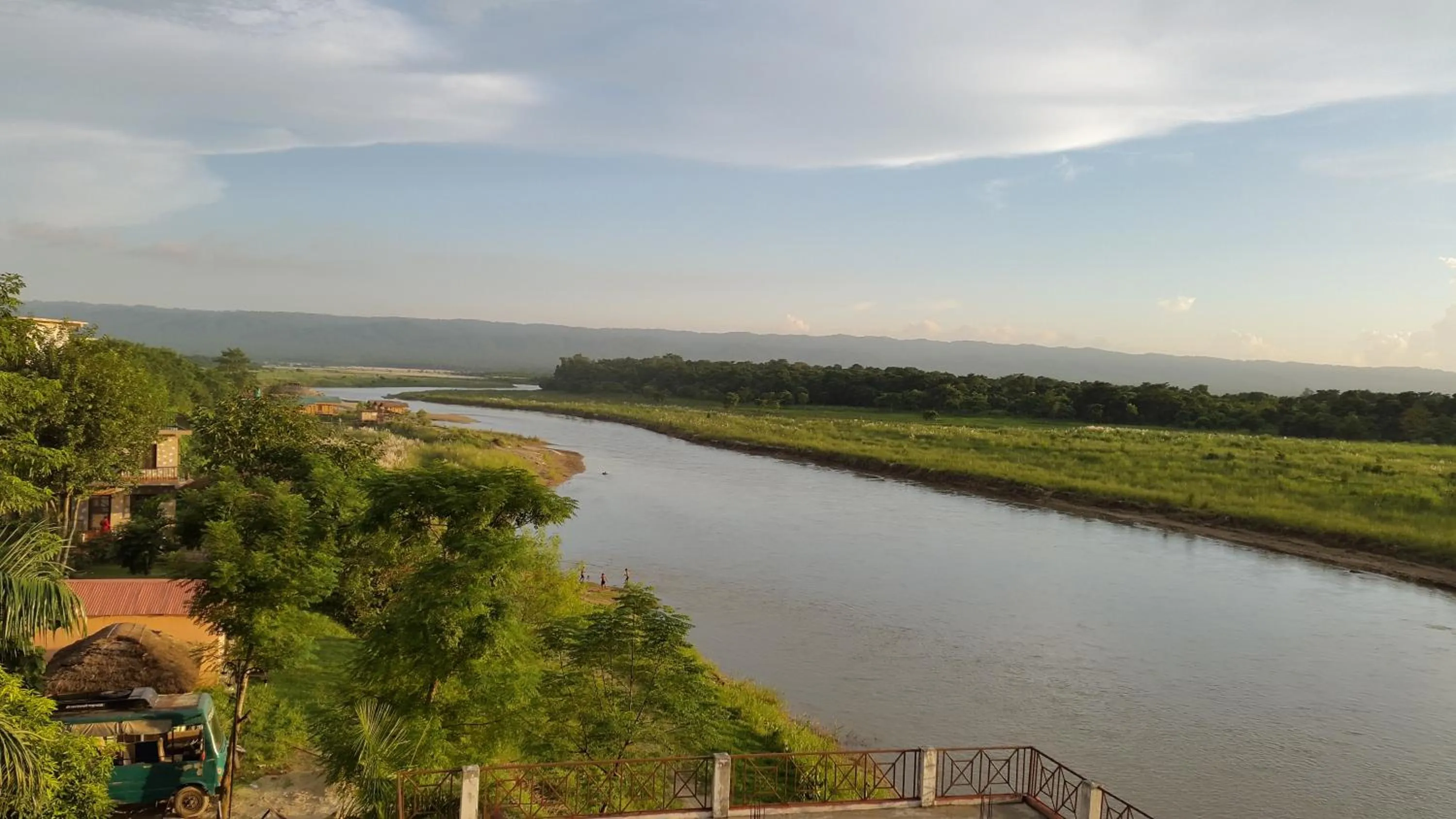 Jungle Wildlife Camp