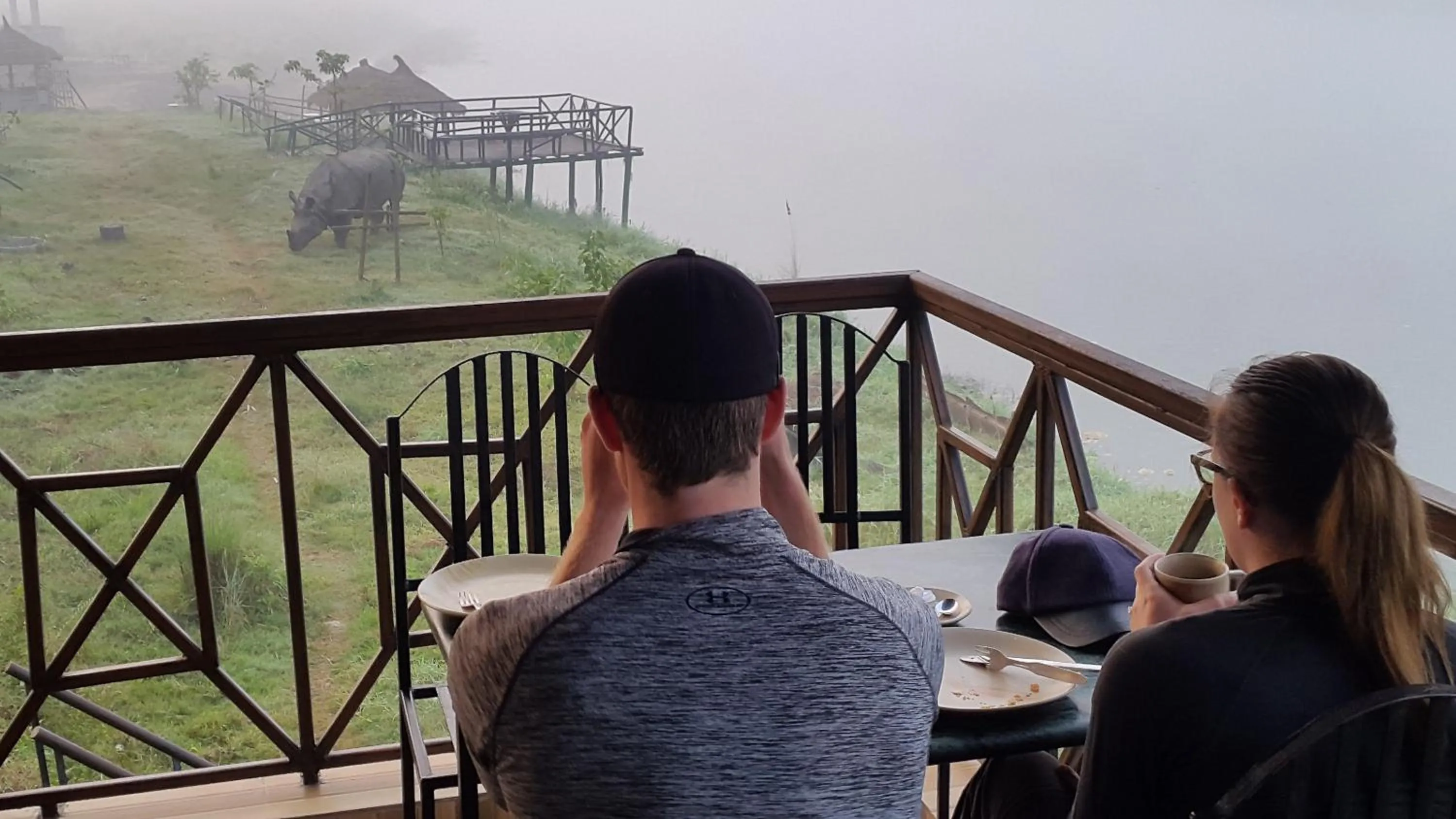 Jungle Wildlife Camp