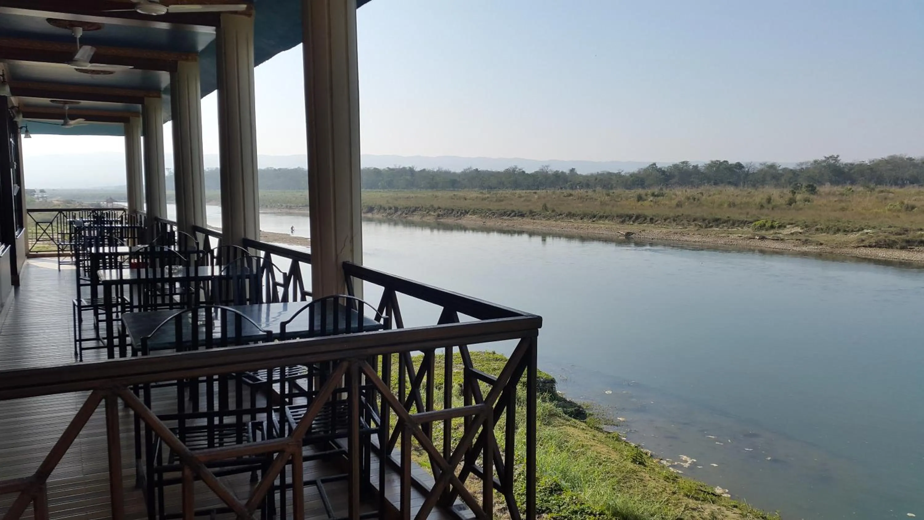 Jungle Wildlife Camp