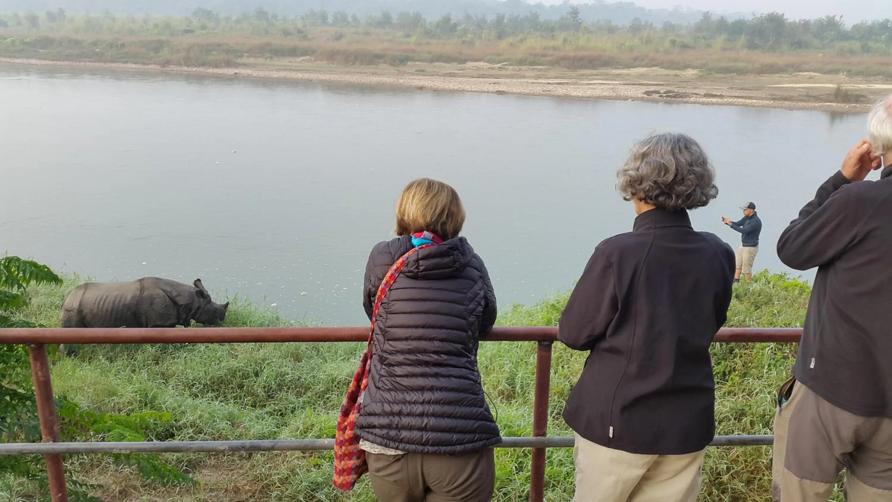 Jungle Wildlife Camp