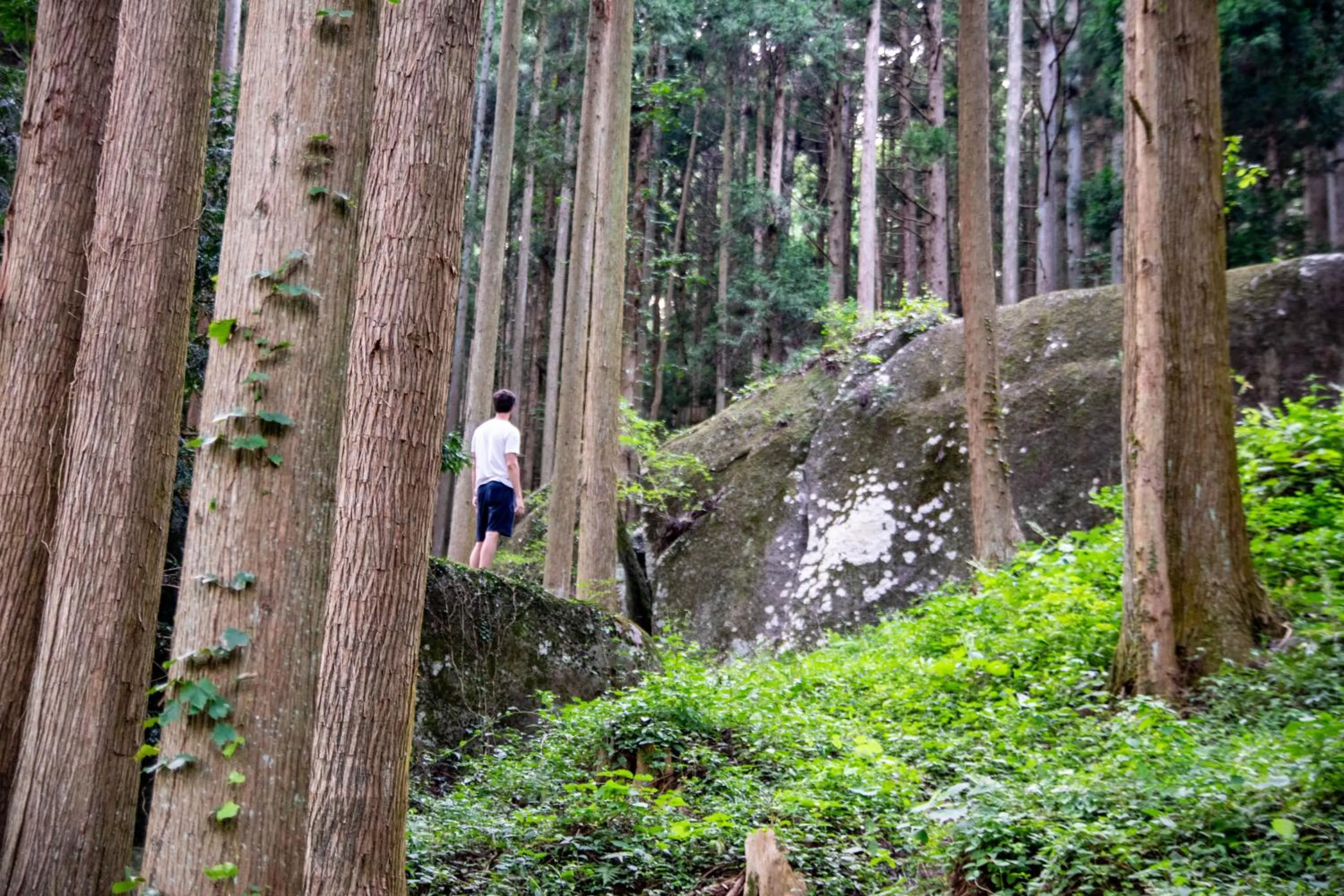 Nearby landmark in Minami Sanriku Hotel kanyo