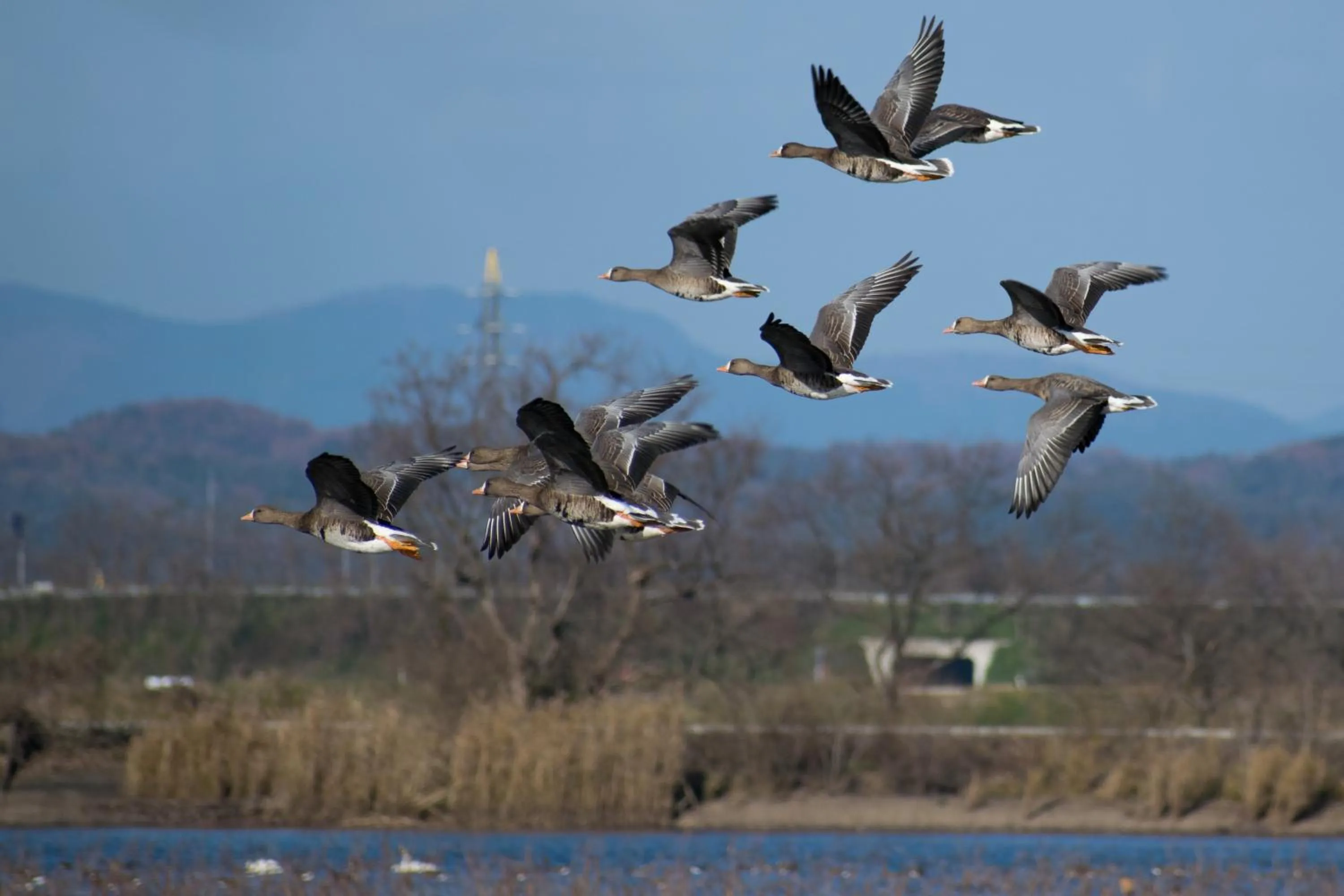 Nearby landmark in Minami Sanriku Hotel kanyo