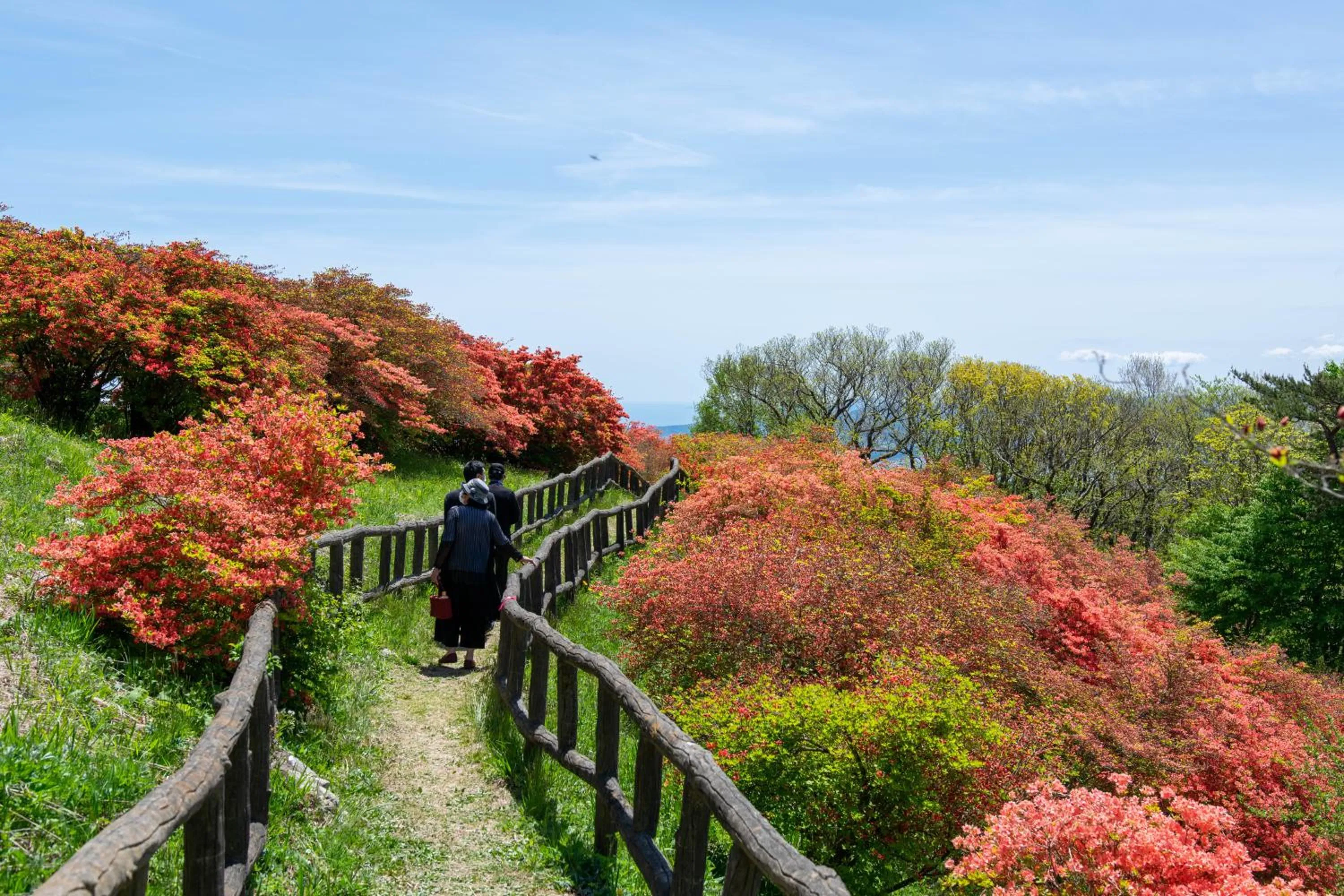 Nearby landmark in Minami Sanriku Hotel kanyo