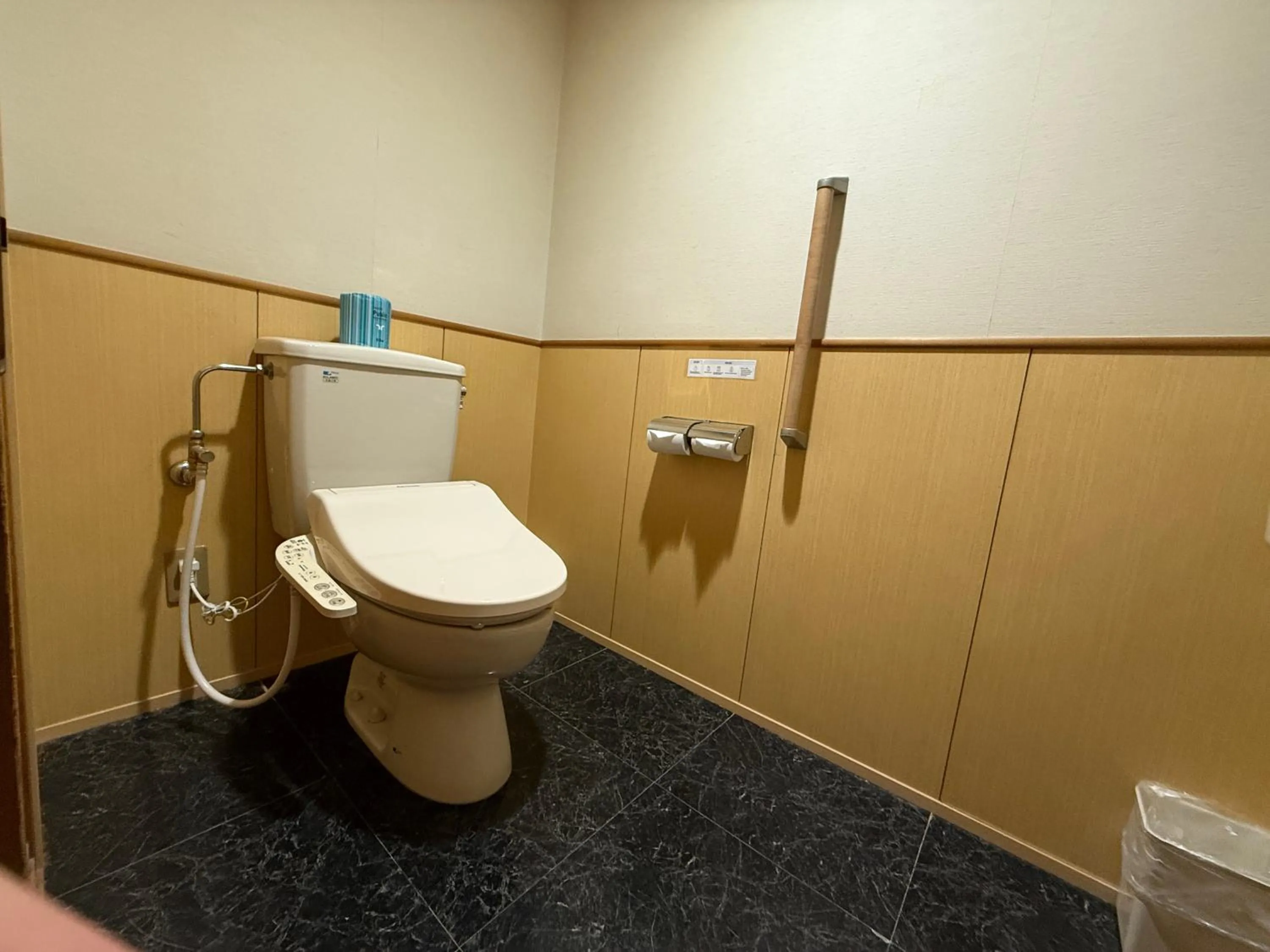 Toilet in Minami Sanriku Hotel kanyo