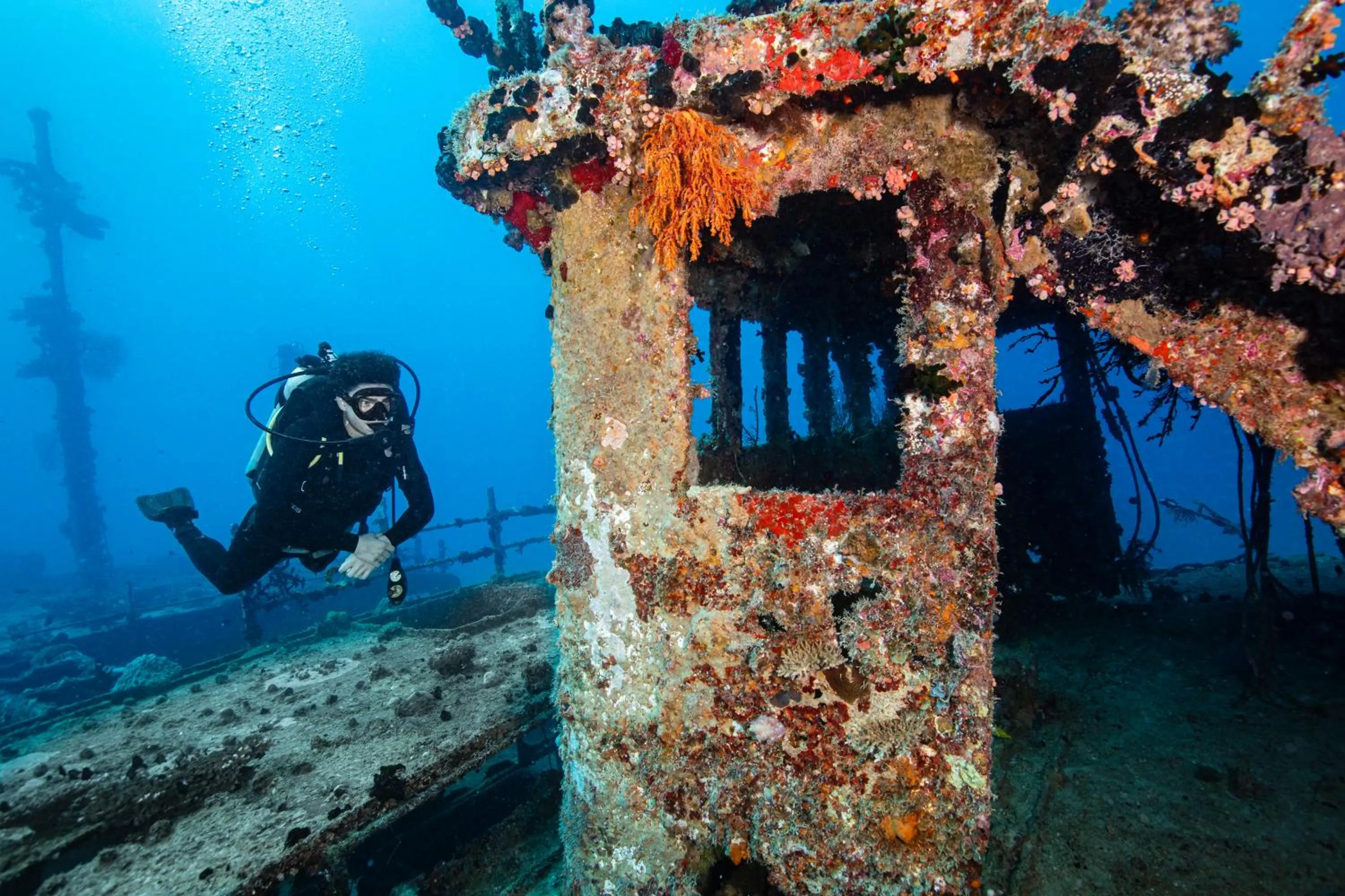 Natural landscape in Waidroka Bay Resort