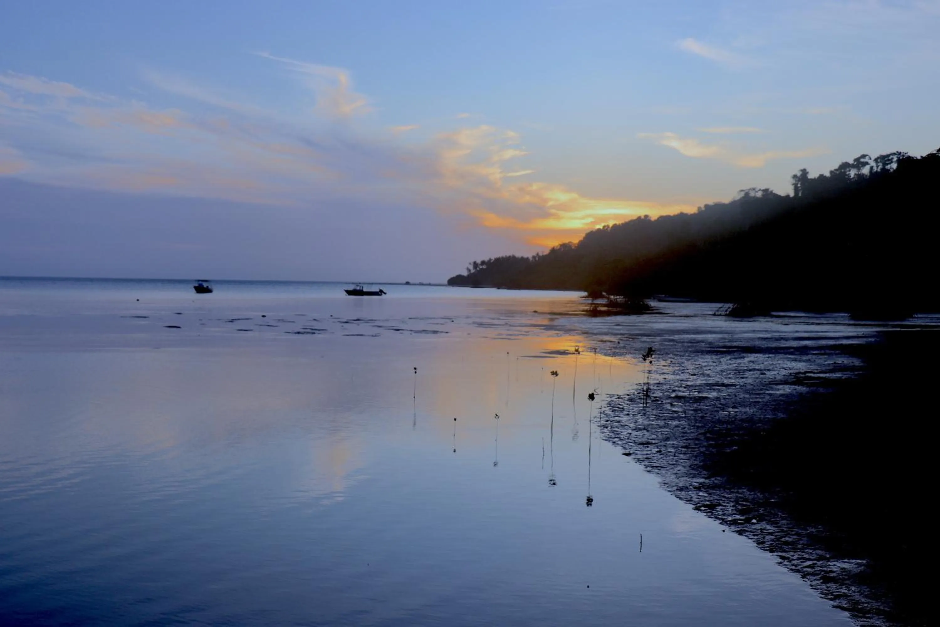 Natural landscape in Waidroka Bay Resort