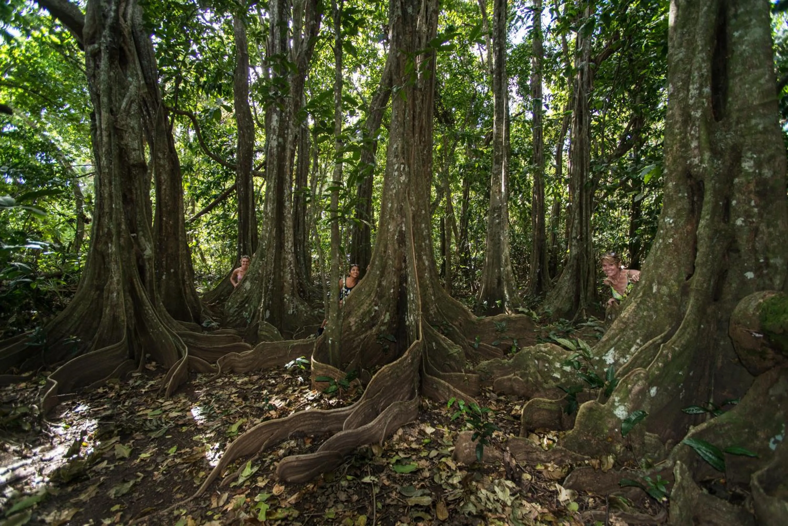 Natural landscape in Waidroka Bay Resort