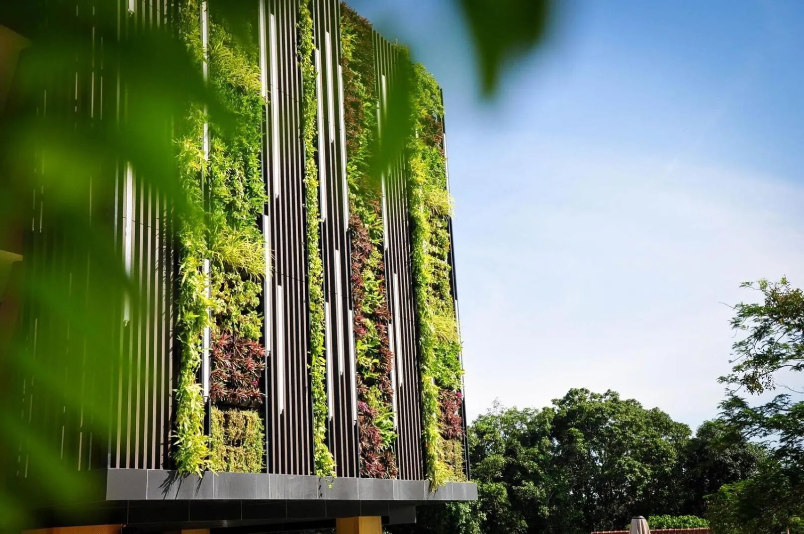 Restaurant/places to eat in Le Resort and Villas