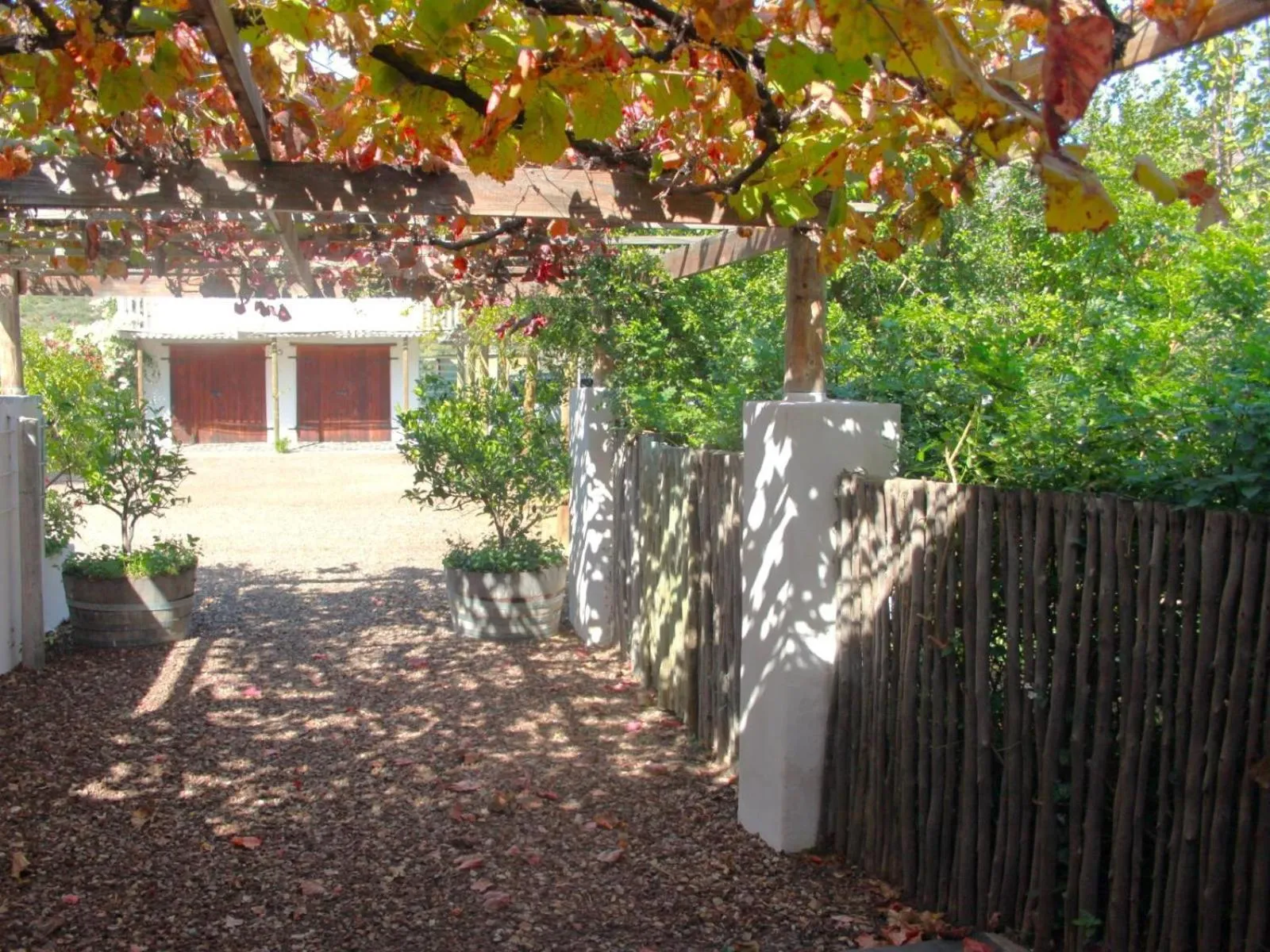 View (from property/room) in The Barn On 62 - Cottages