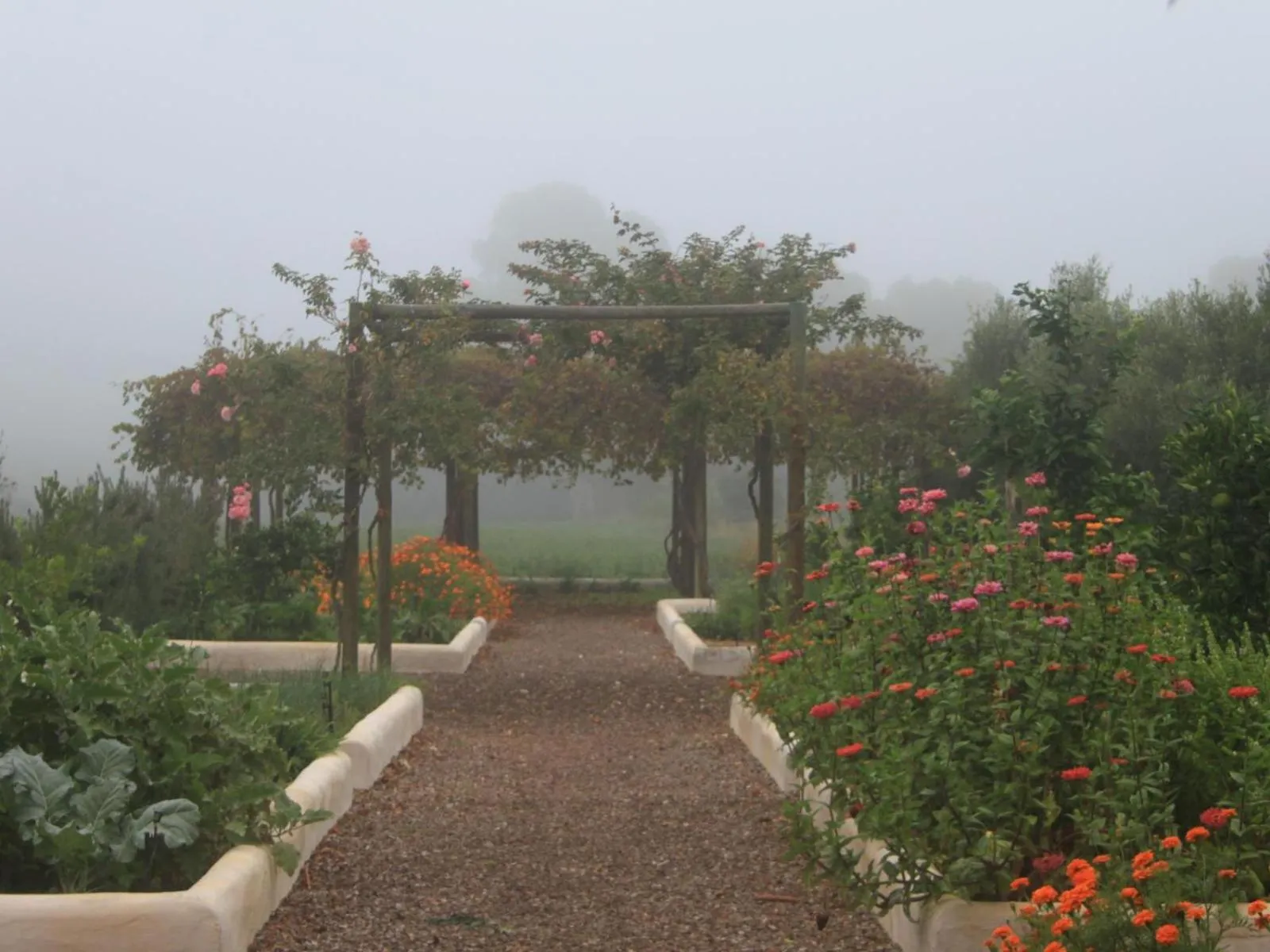 Garden in The Barn On 62 - Cottages