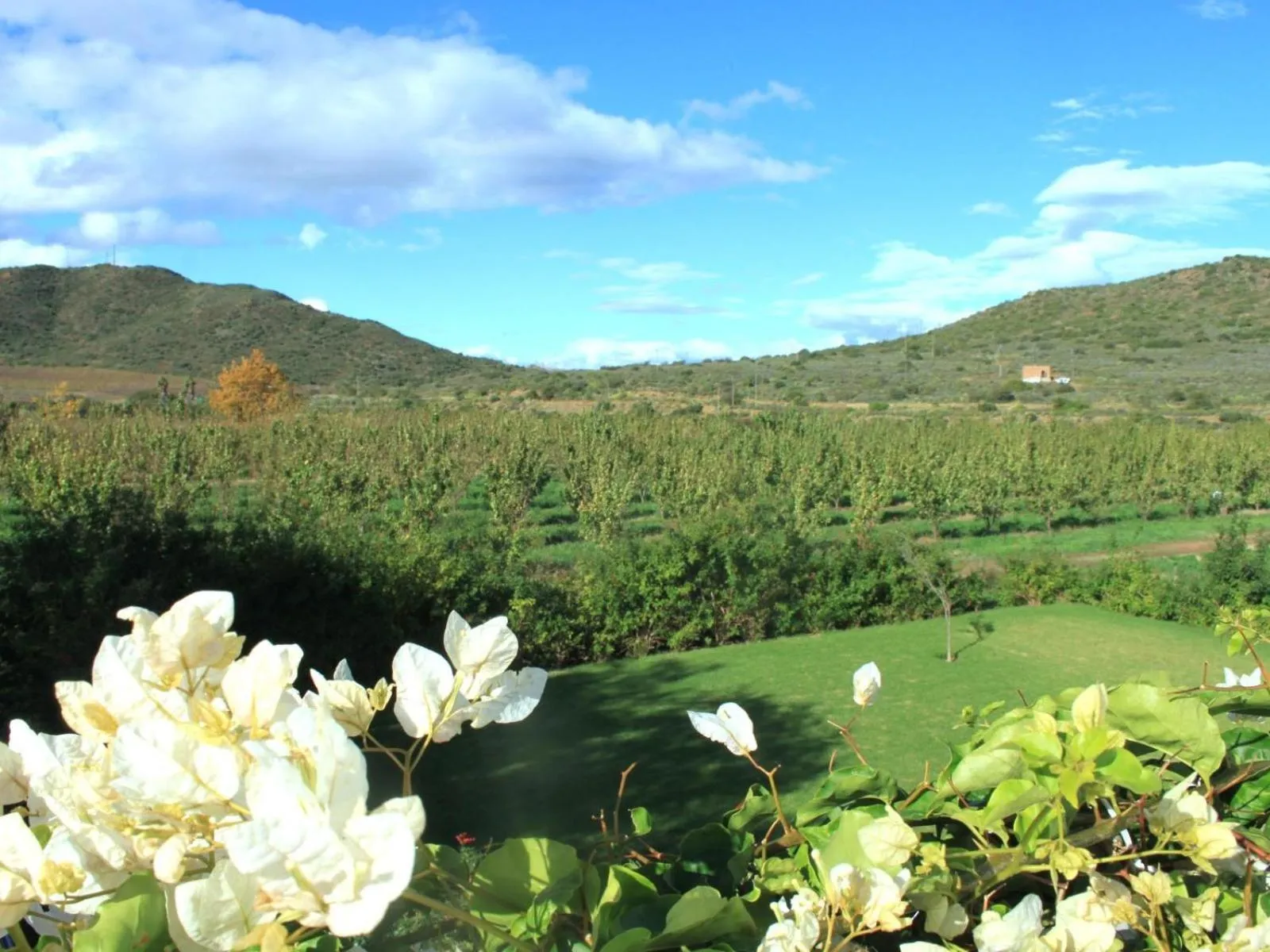 View (from property/room) in The Barn On 62 - Cottages