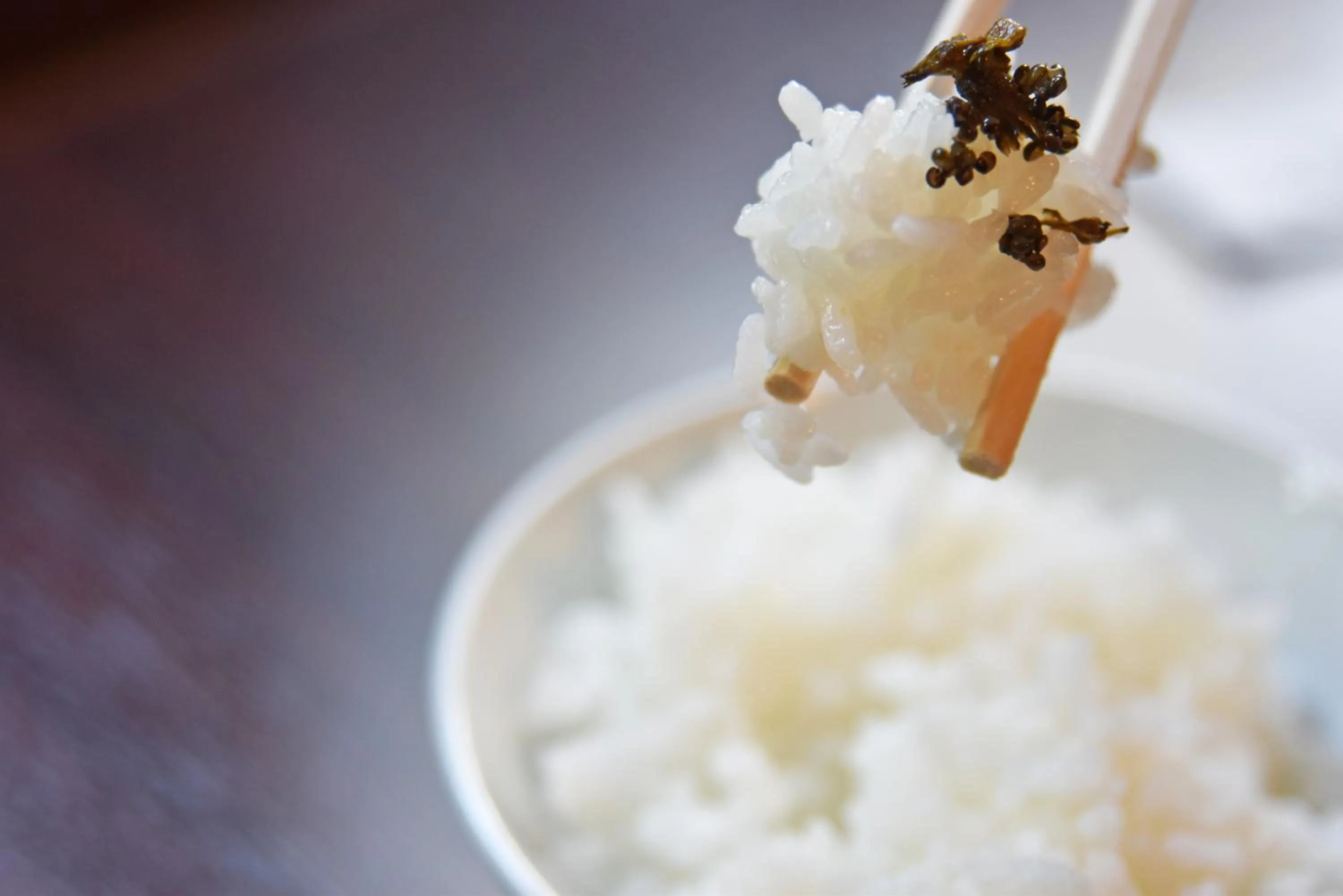 Food close-up in Syohoen