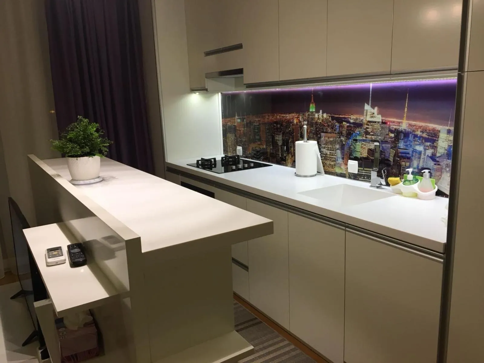 Kitchen or kitchenette in Top Level Residence