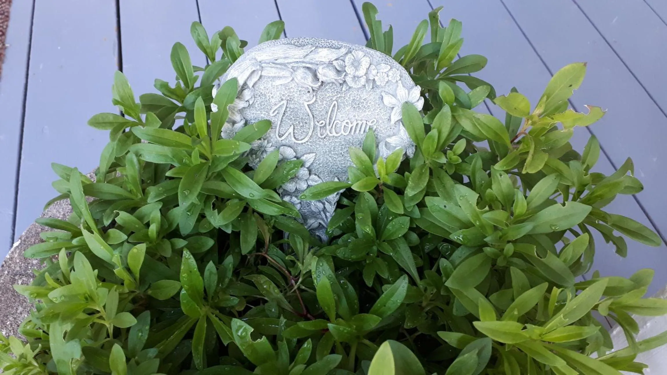 Hillside Landing B&B