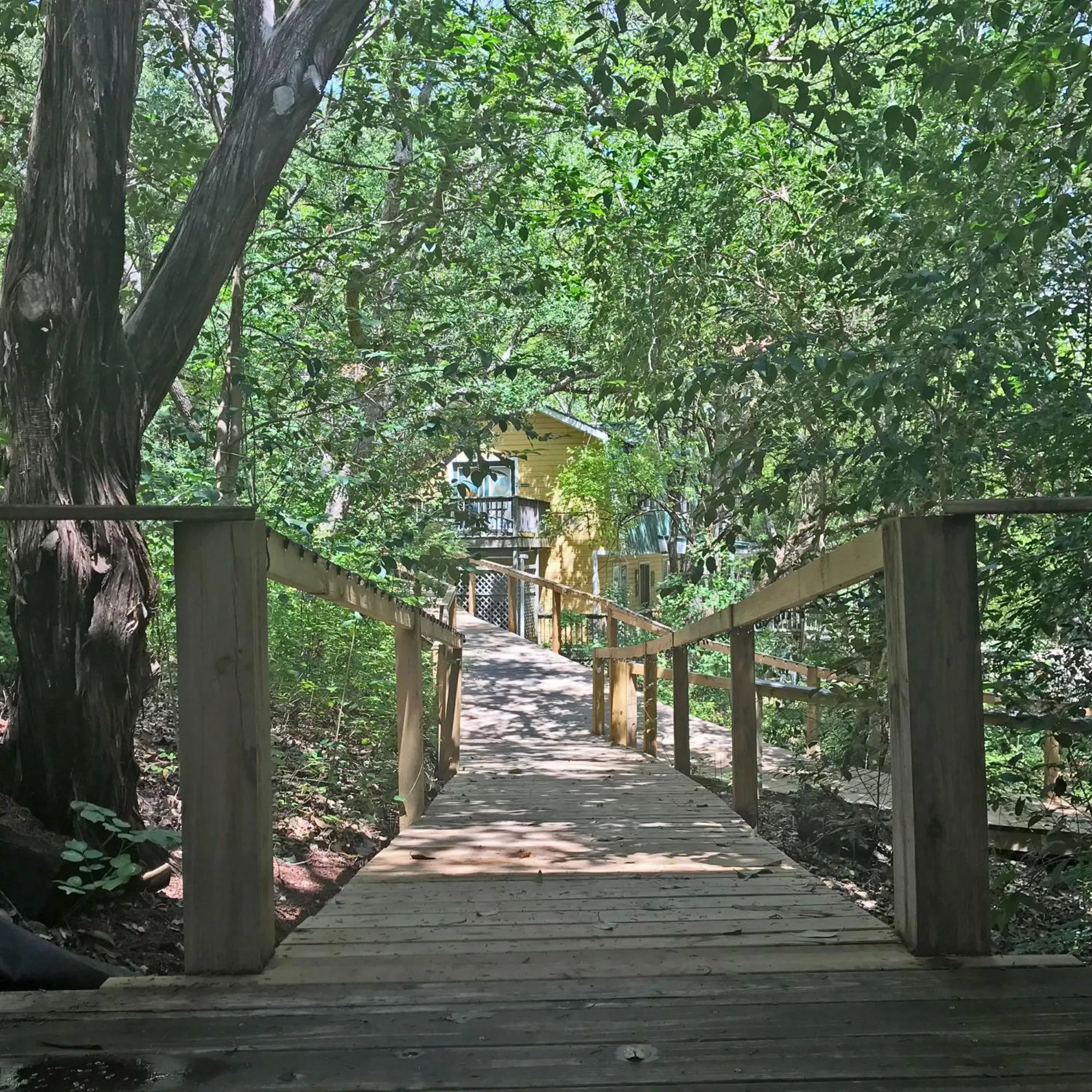 Shower in Bed and Breakfast on White Rock Creek