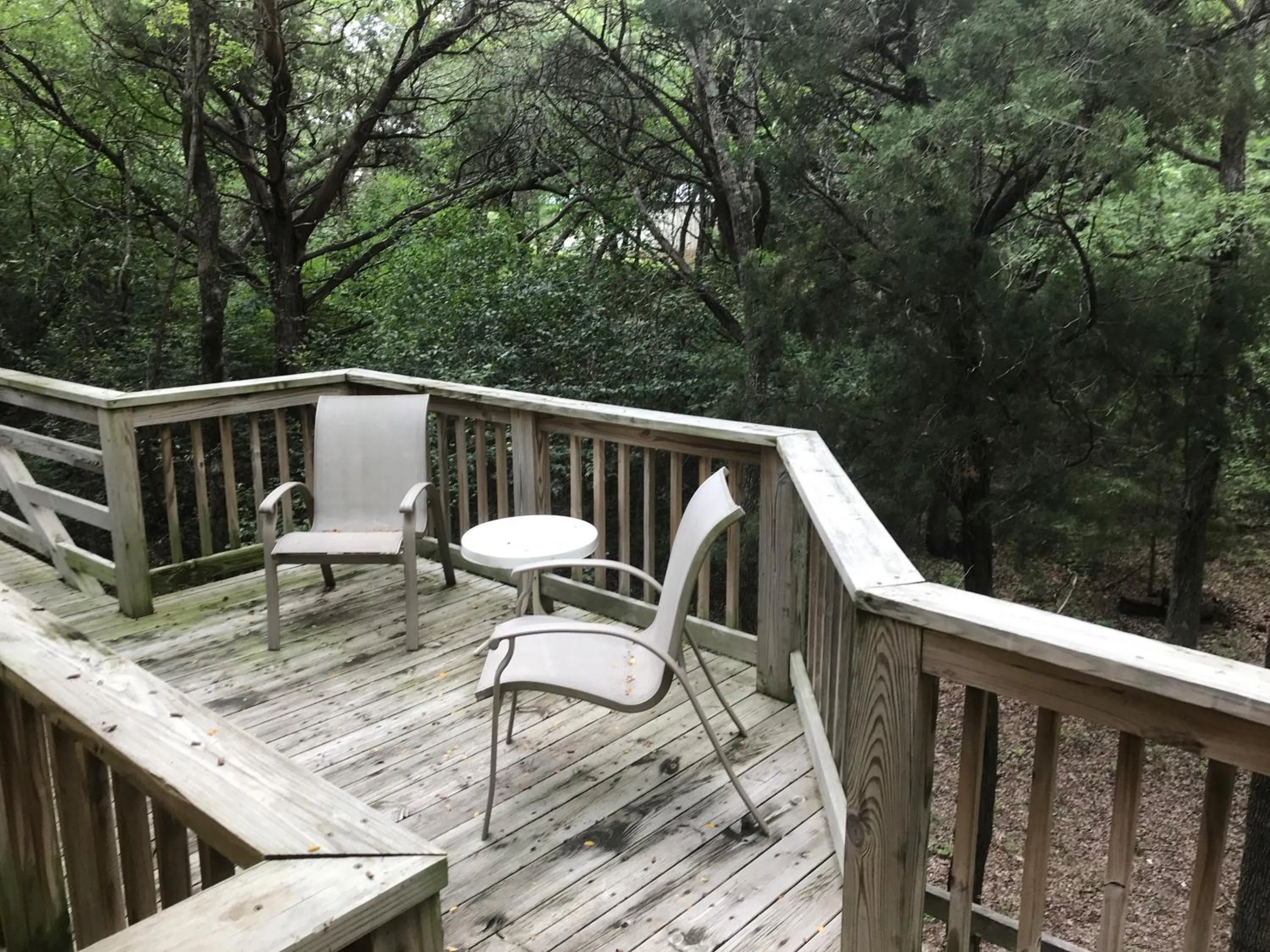 Natural landscape in Bed and Breakfast on White Rock Creek