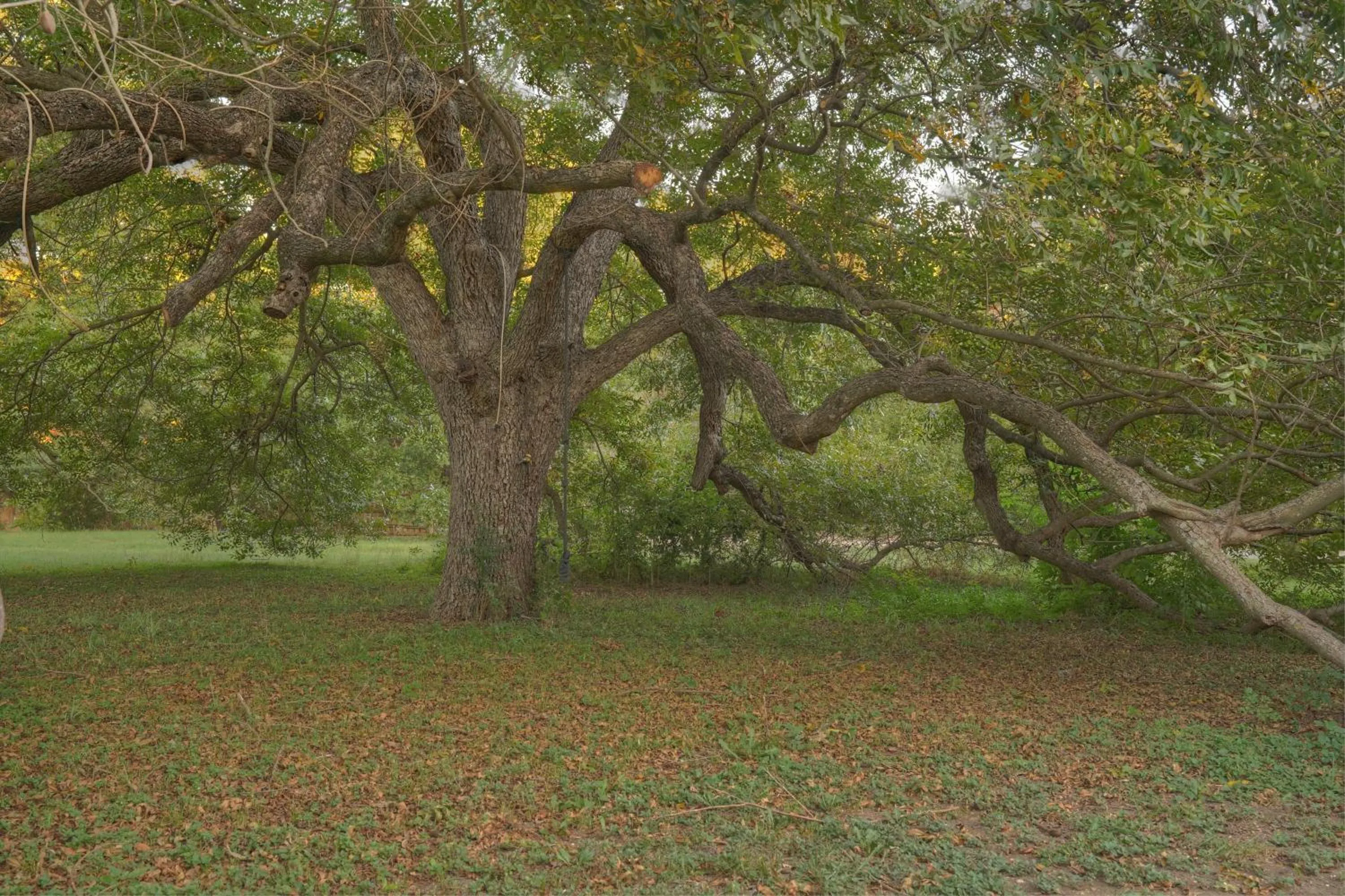 Property building in Bed and Breakfast on White Rock Creek