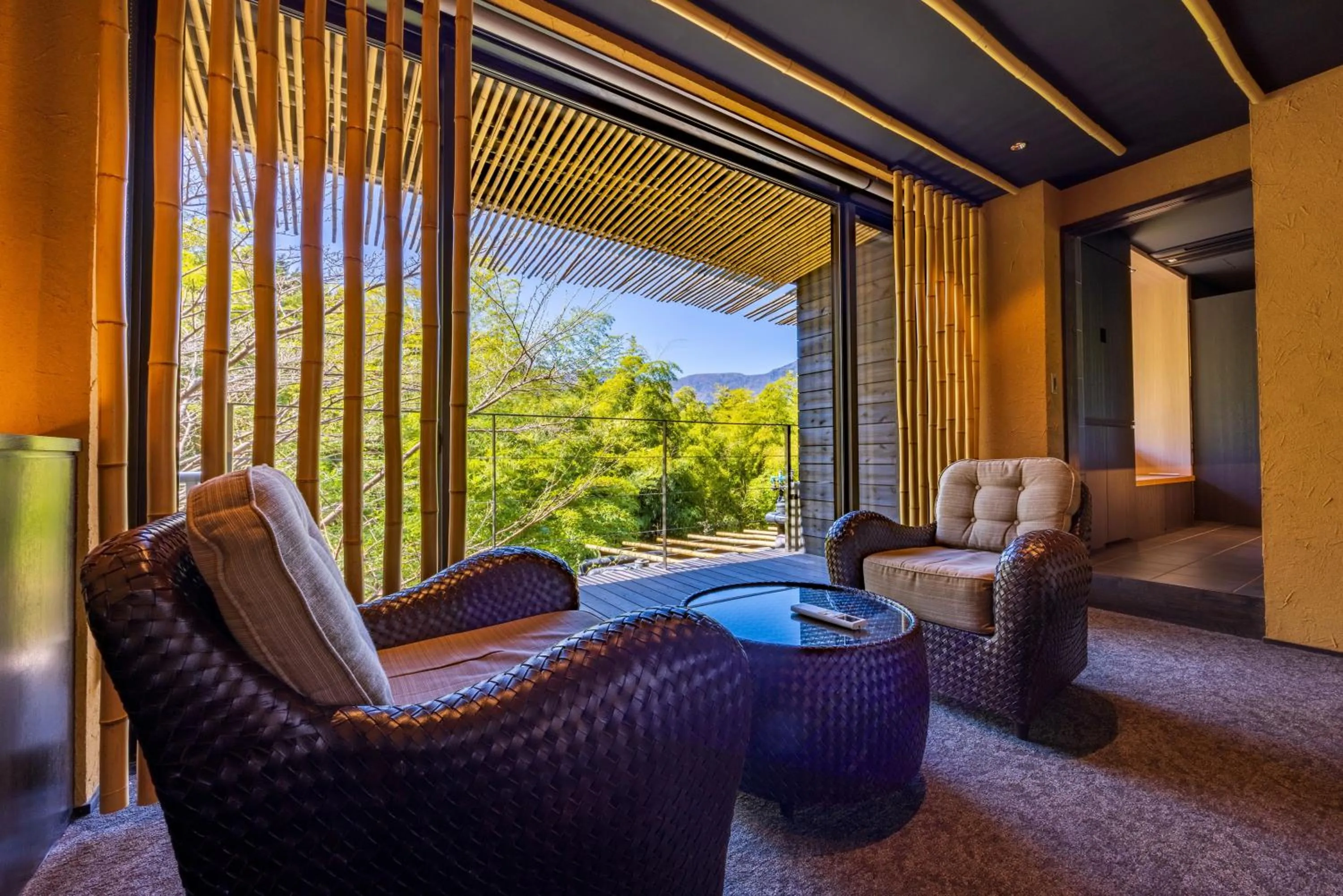 Living room in Kinnotake Sengokuhara(Adult Only)