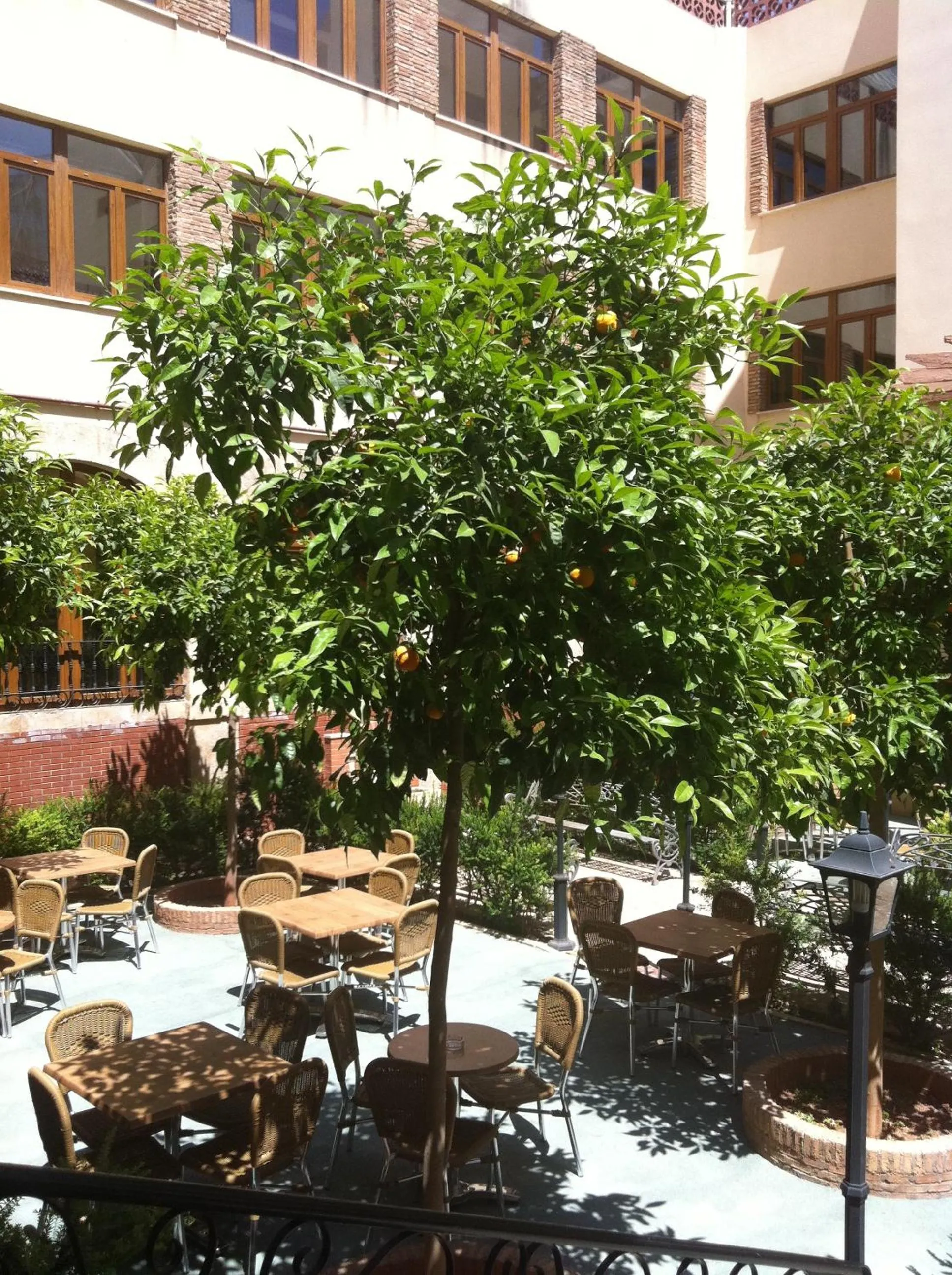 Garden in Balneario San Nicolas