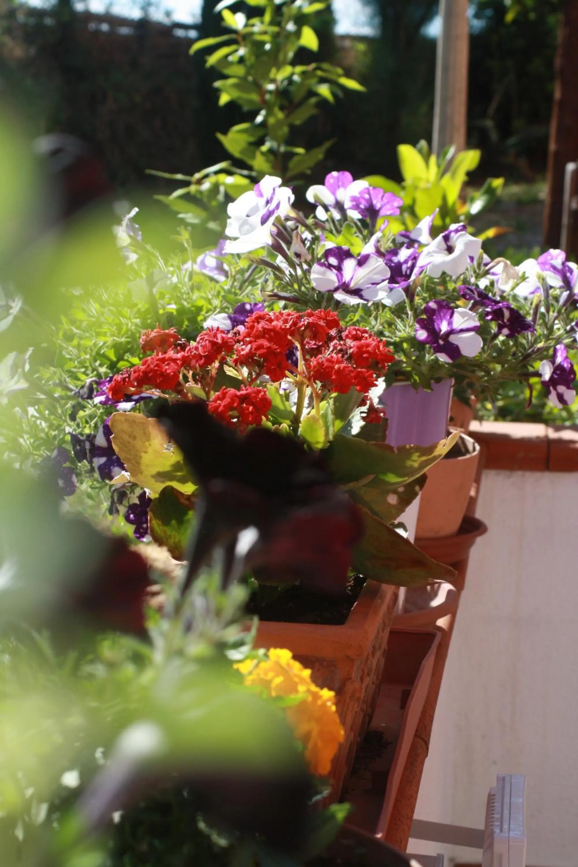 Facade/entrance in Magione B&B