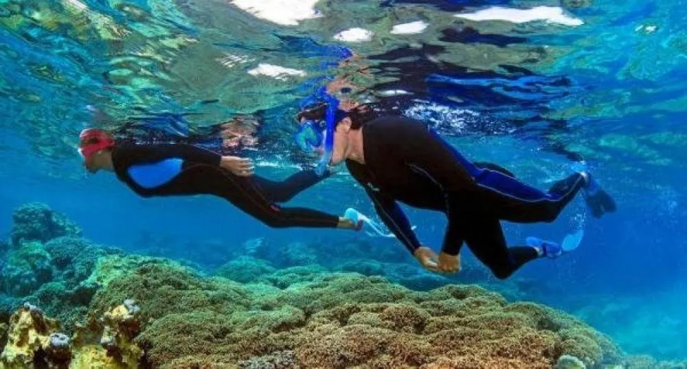 Hôtel Almanarre Plage - Hôtel Eco-Responsable face à la mer