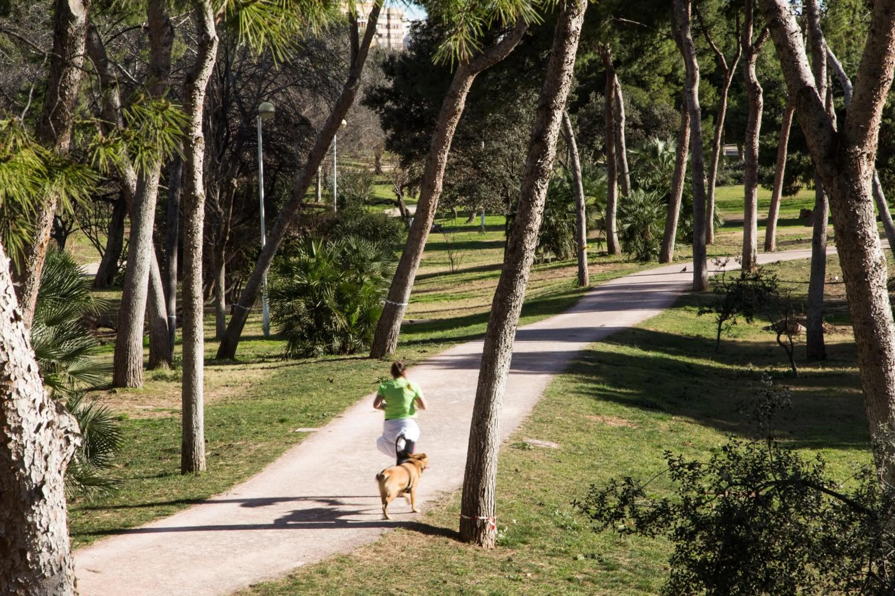 Off site in Pio XII Apartments Valencia