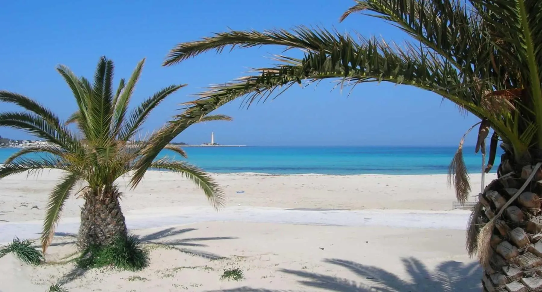 Beach in Hotel Panoramic