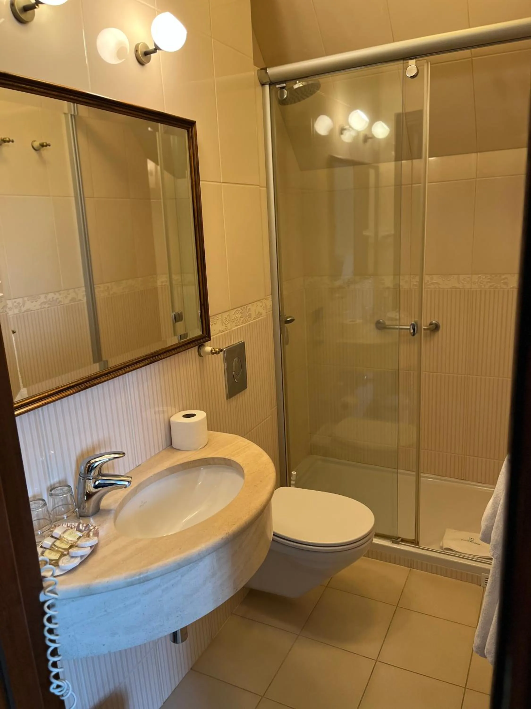 Shower in Hotel Villa Bohema