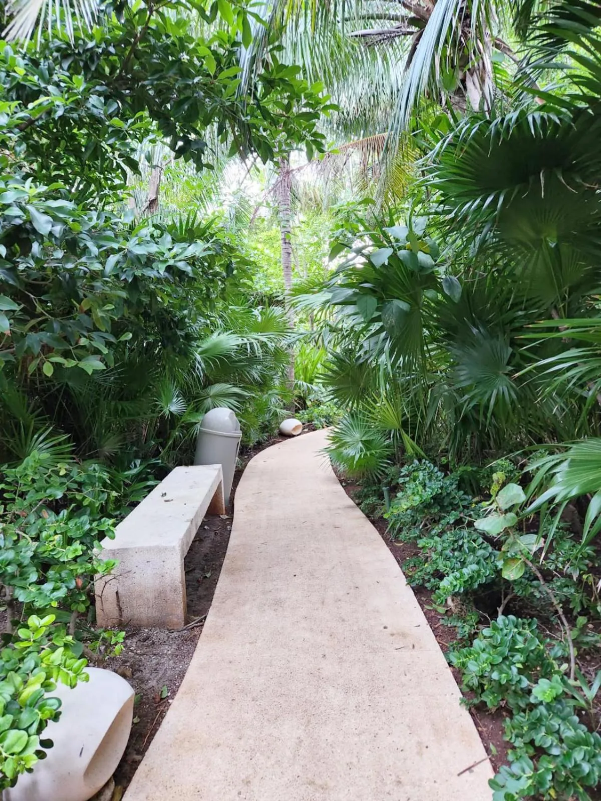 Garden in Beachfront Getaway Condo