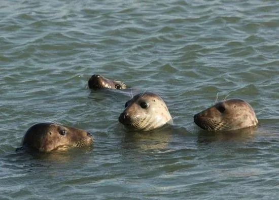 Nearby landmark in B&B Het Onderduukertje