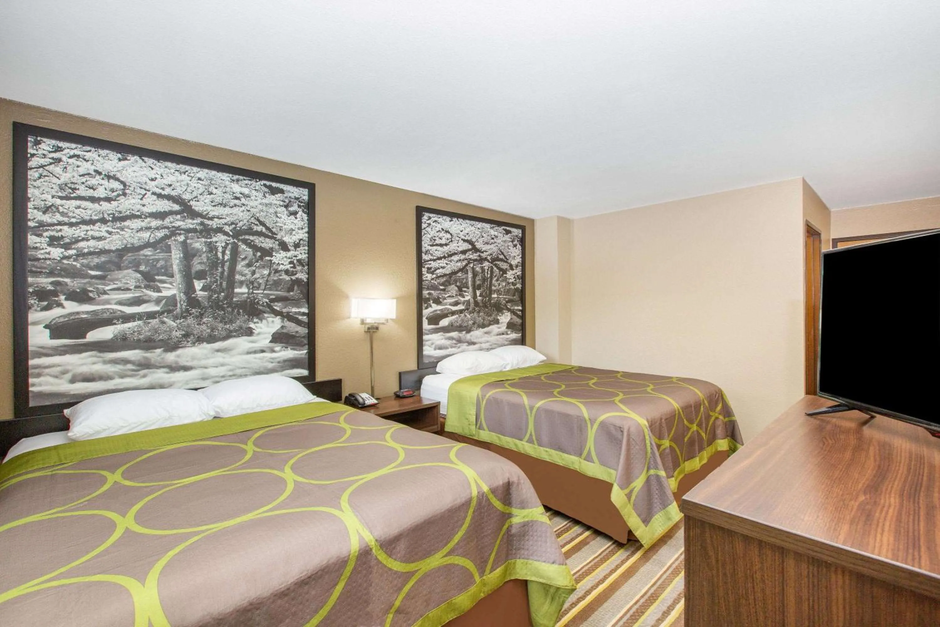 Photo of the whole room, Bed in Super 8 by Wyndham Chattanooga Lookout Mountain TN