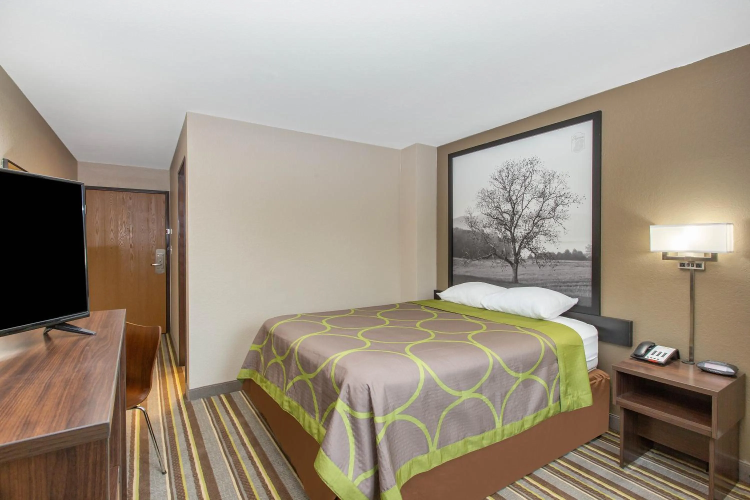 Photo of the whole room, Bed in Super 8 by Wyndham Chattanooga Lookout Mountain TN