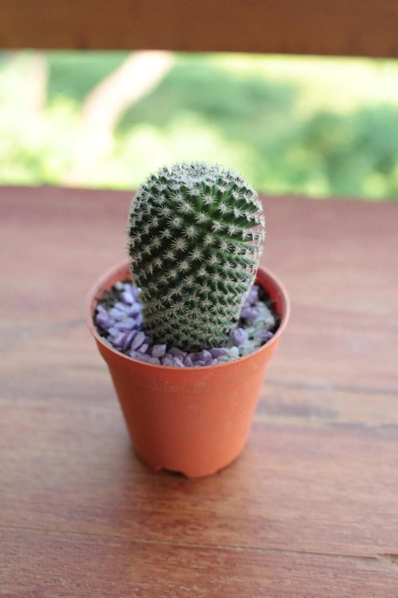 BAAN9NAN Guest Home in Nan City