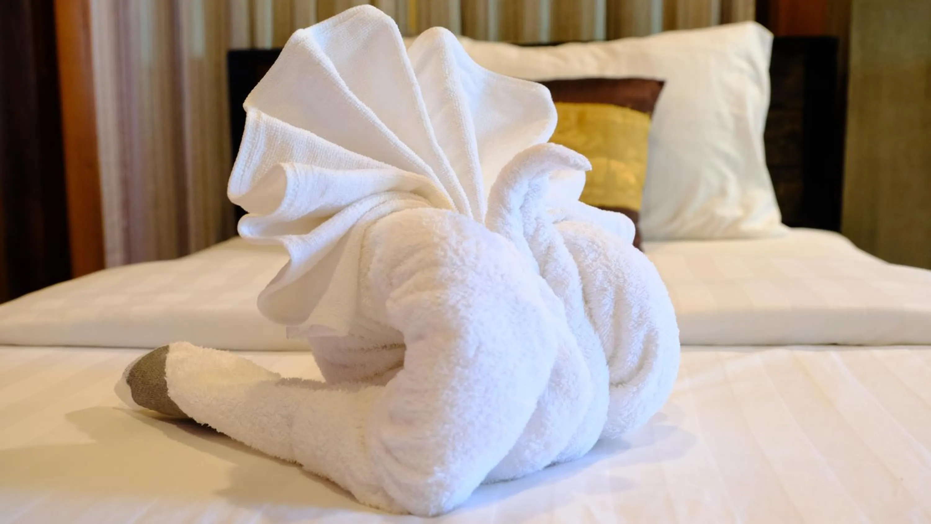 BAAN9NAN Guest Home in Nan City