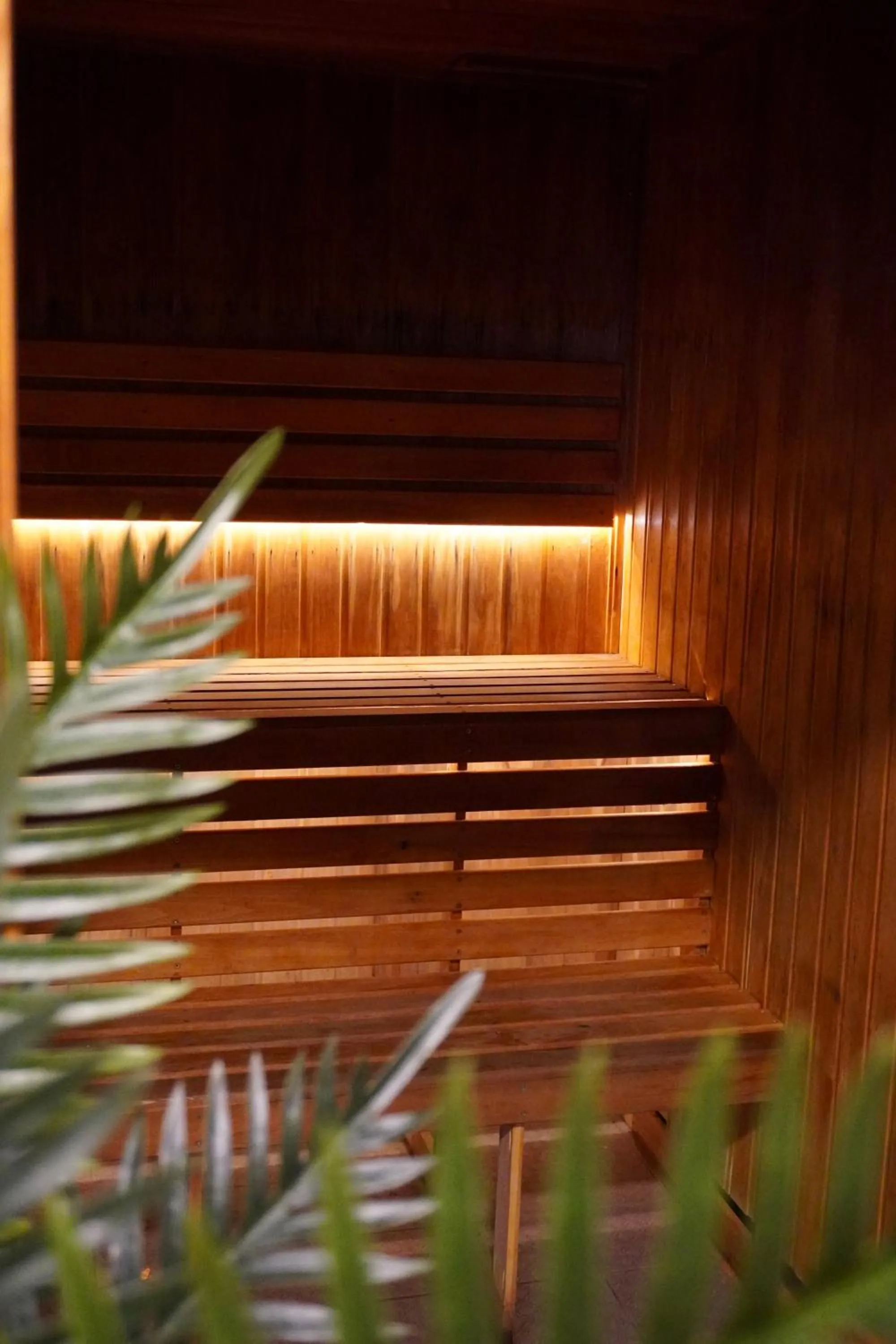 Sauna in Twin Trees Hotel & Brusna Falls Leisure