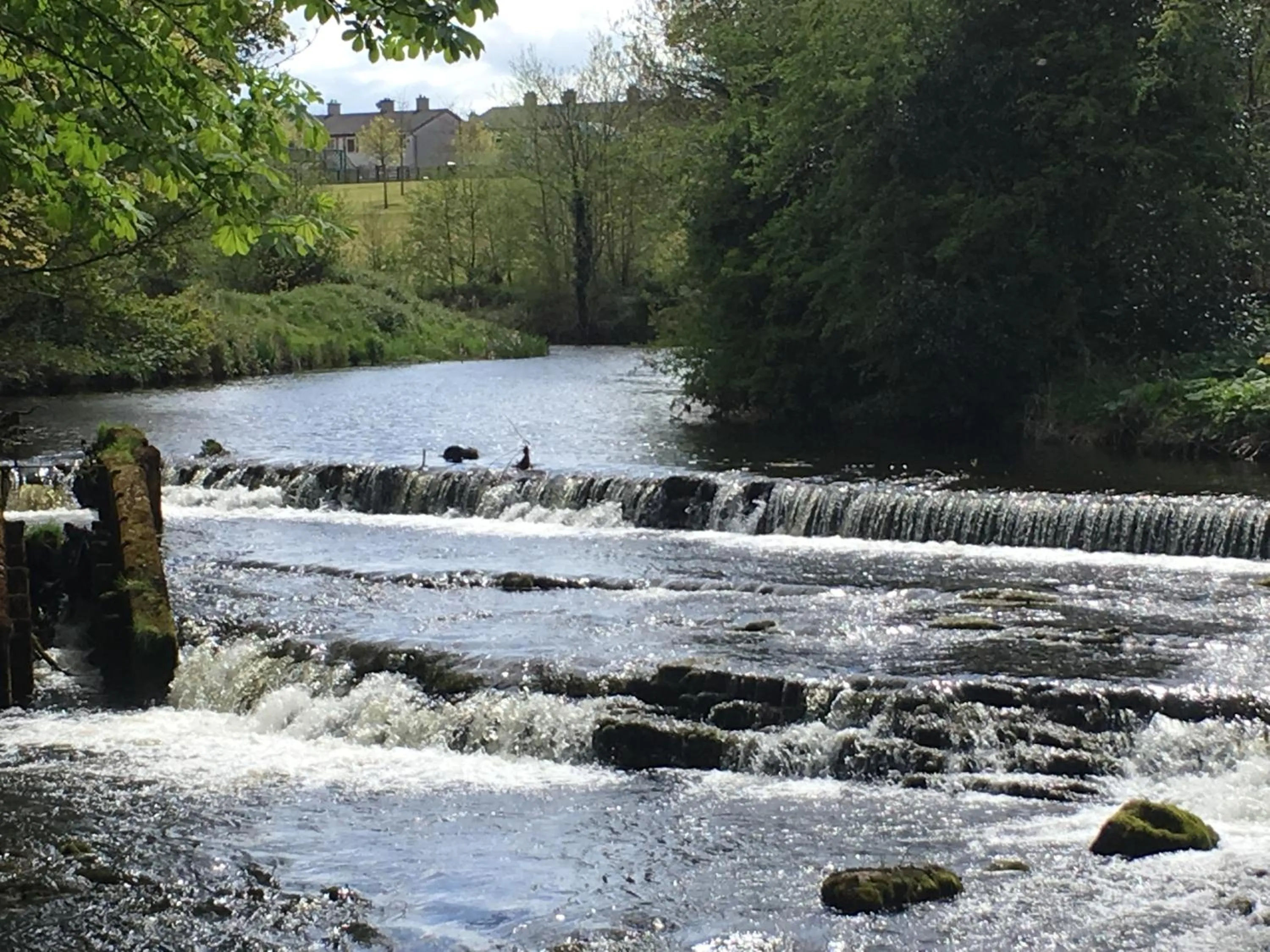 Natural landscape in Twin Trees Hotel & Leisure Club