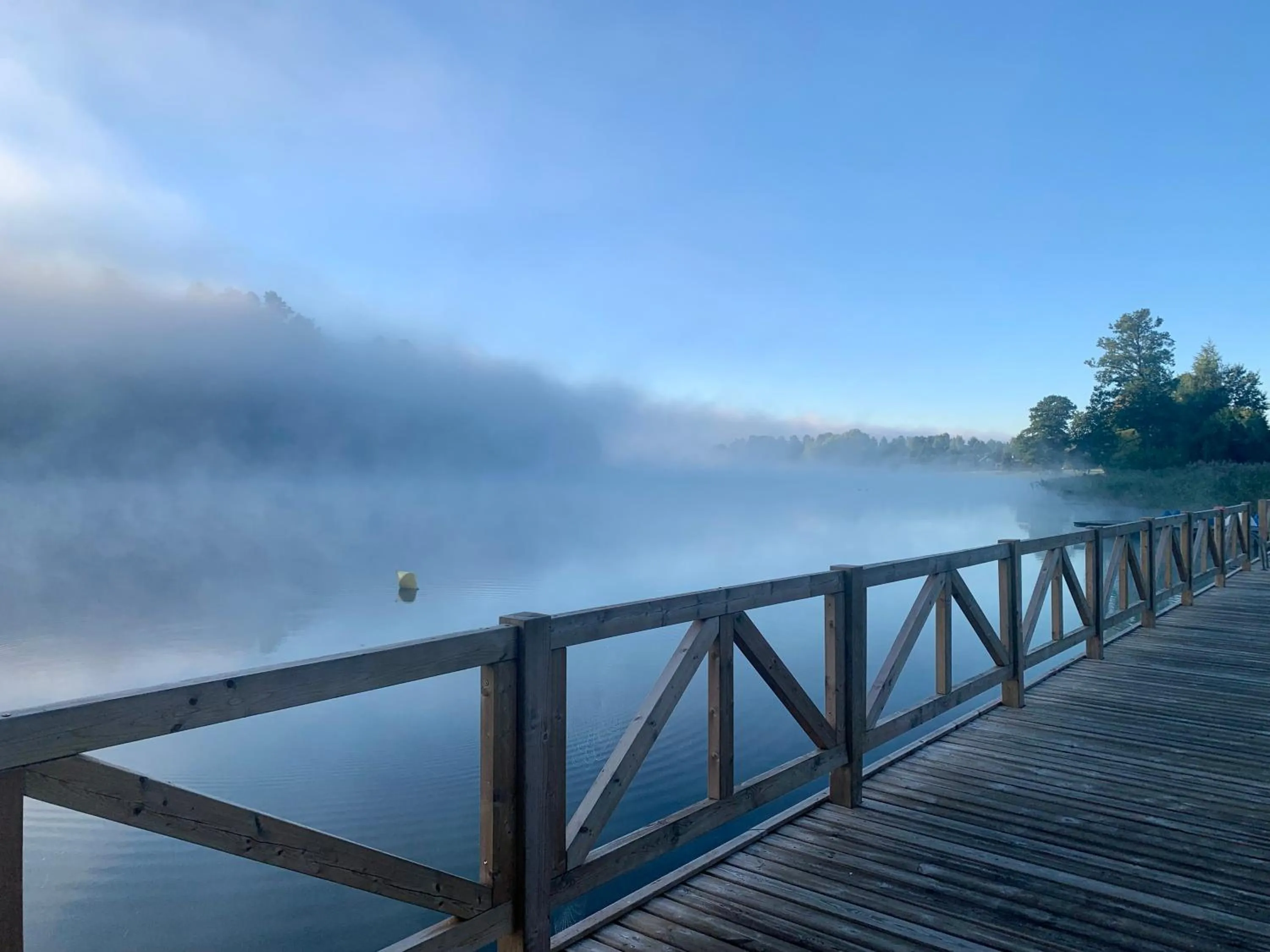 Beach in Hotel Albatros