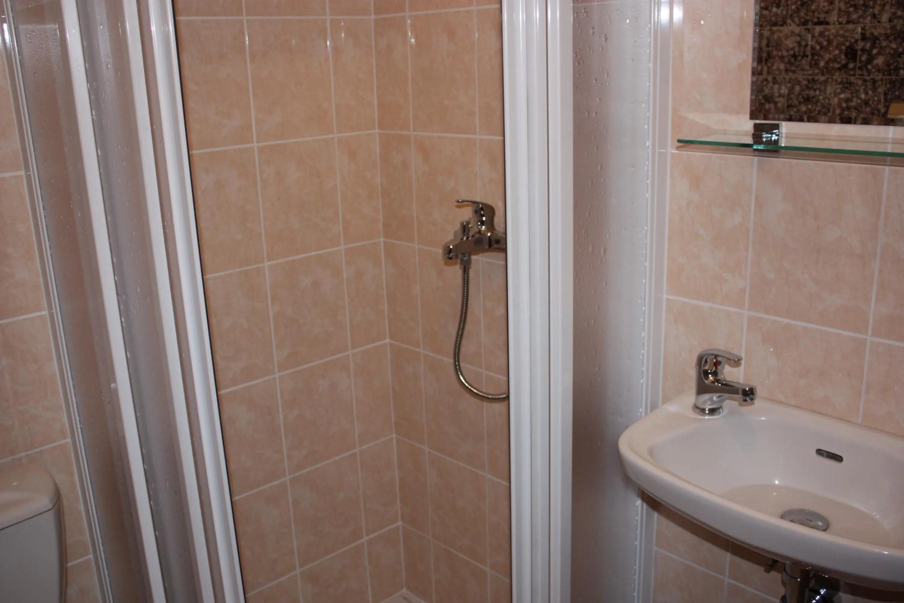 Shower in Hotel Hynek