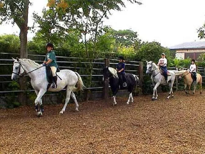 Horse-riding in Reiterhof Sonja