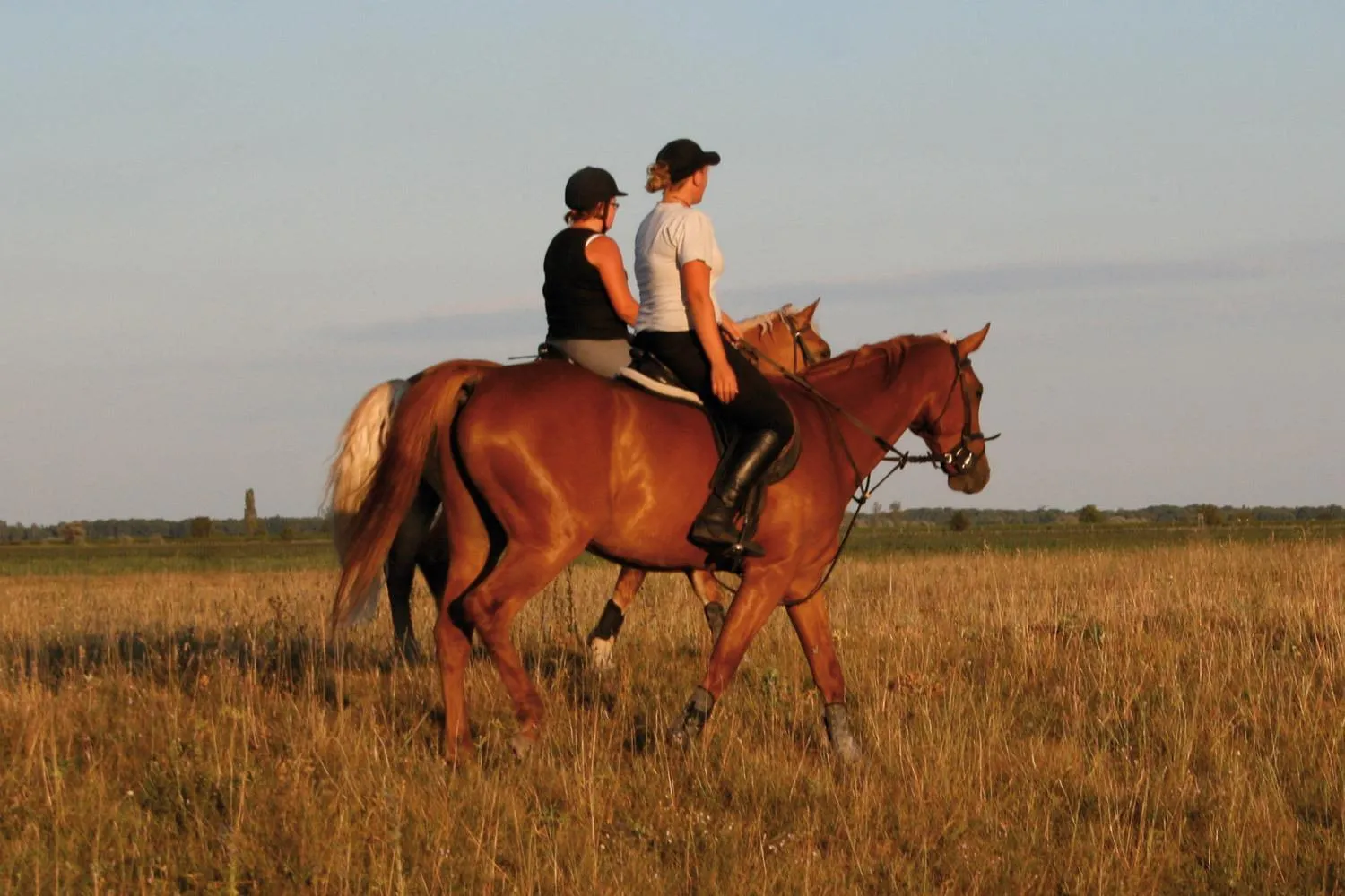 Horse-riding in Reiterhof Sonja
