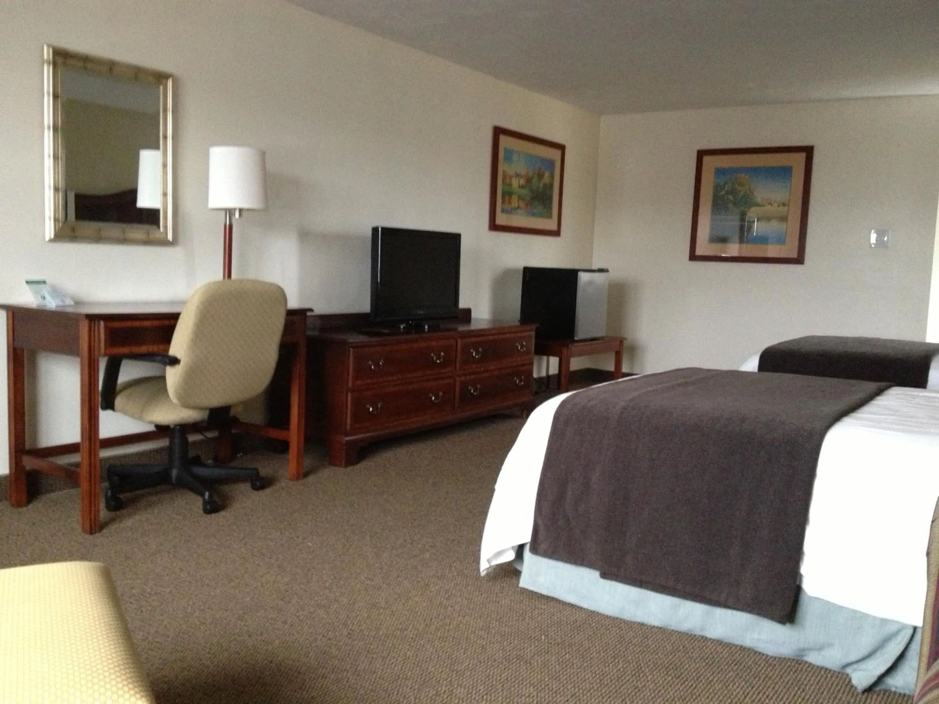 TV and multimedia, Bed in Holiday Hill Inn & Suites