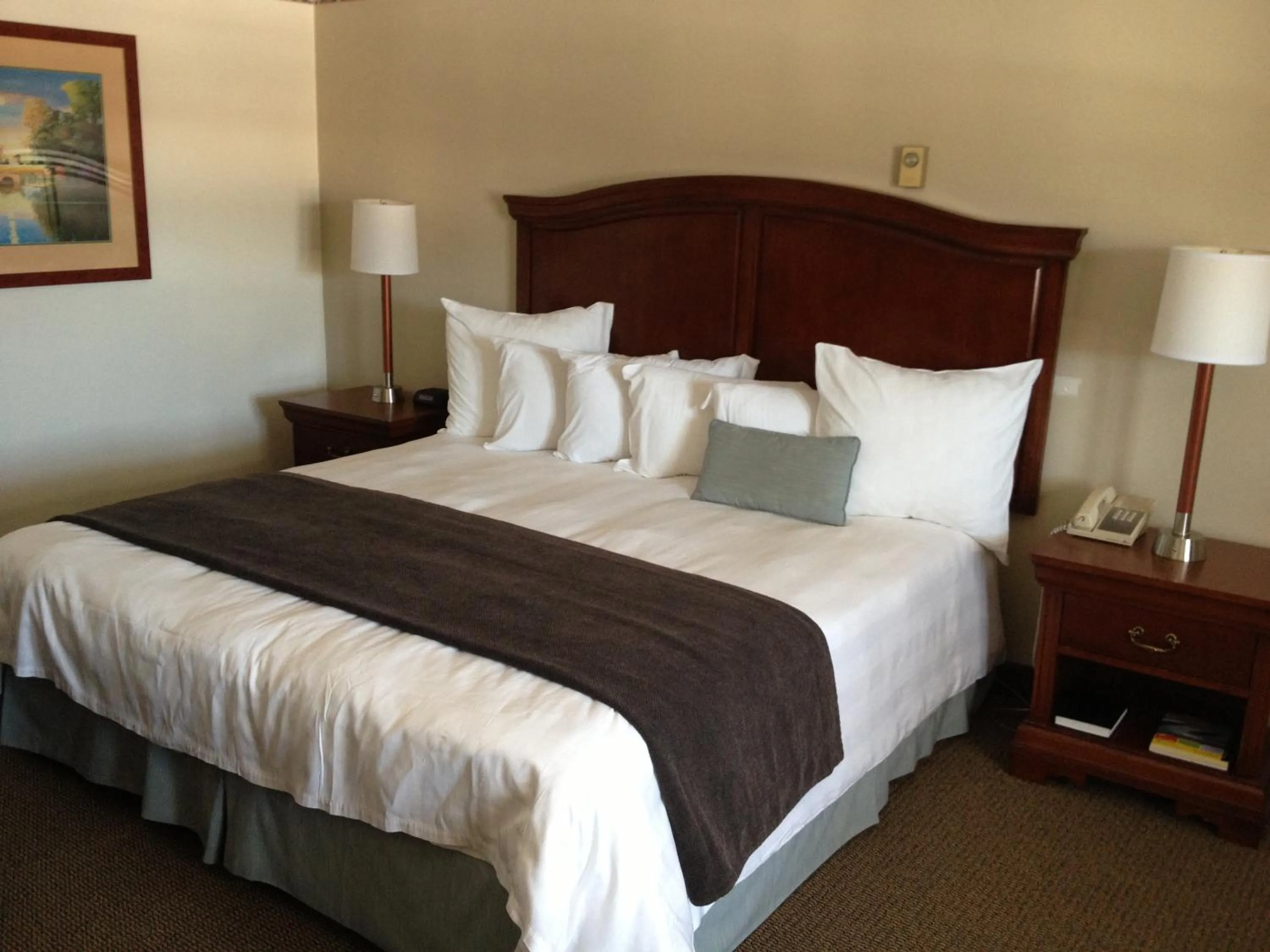 Bed in Holiday Hill Inn & Suites