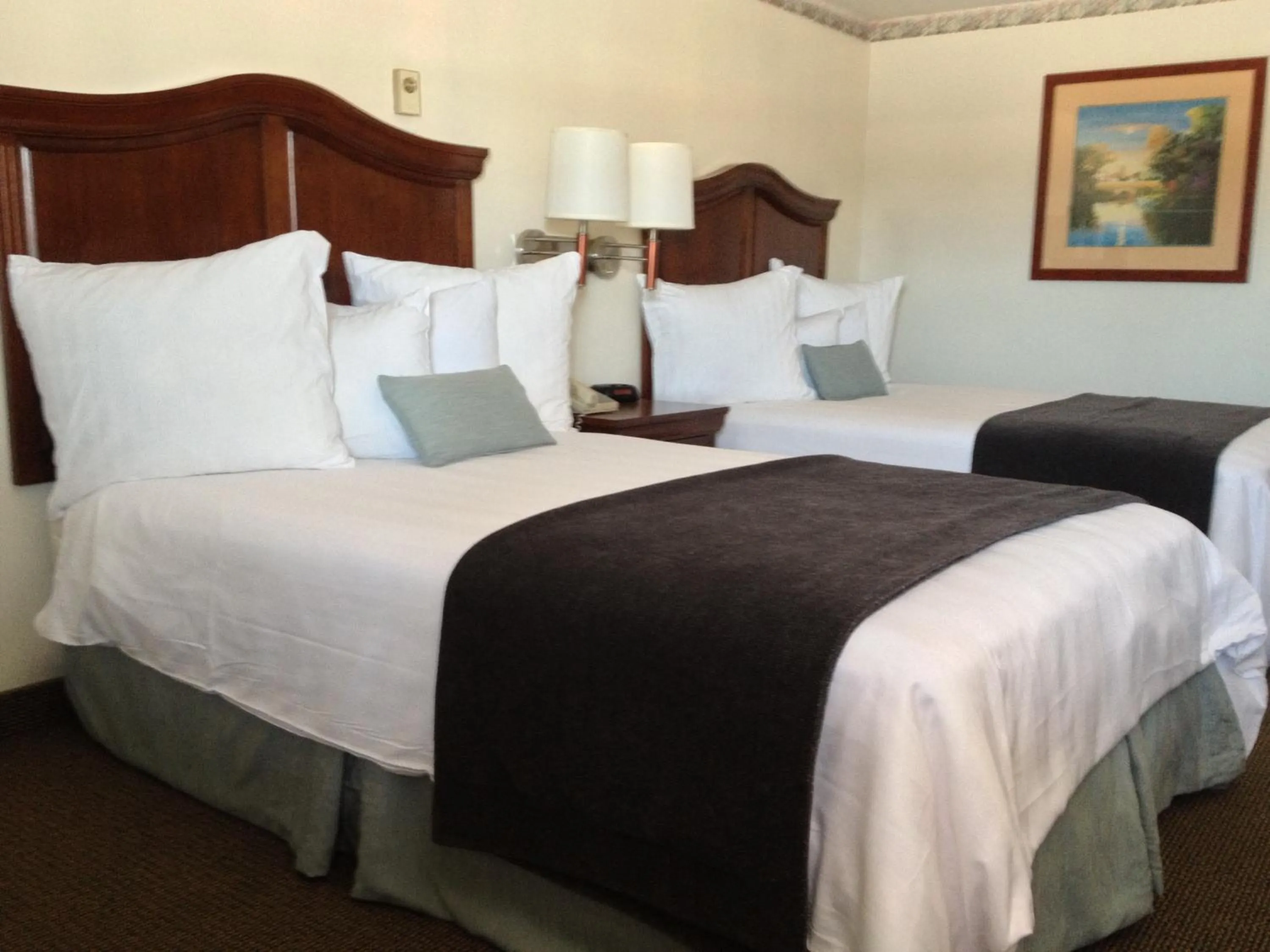 Bed in Holiday Hill Inn & Suites